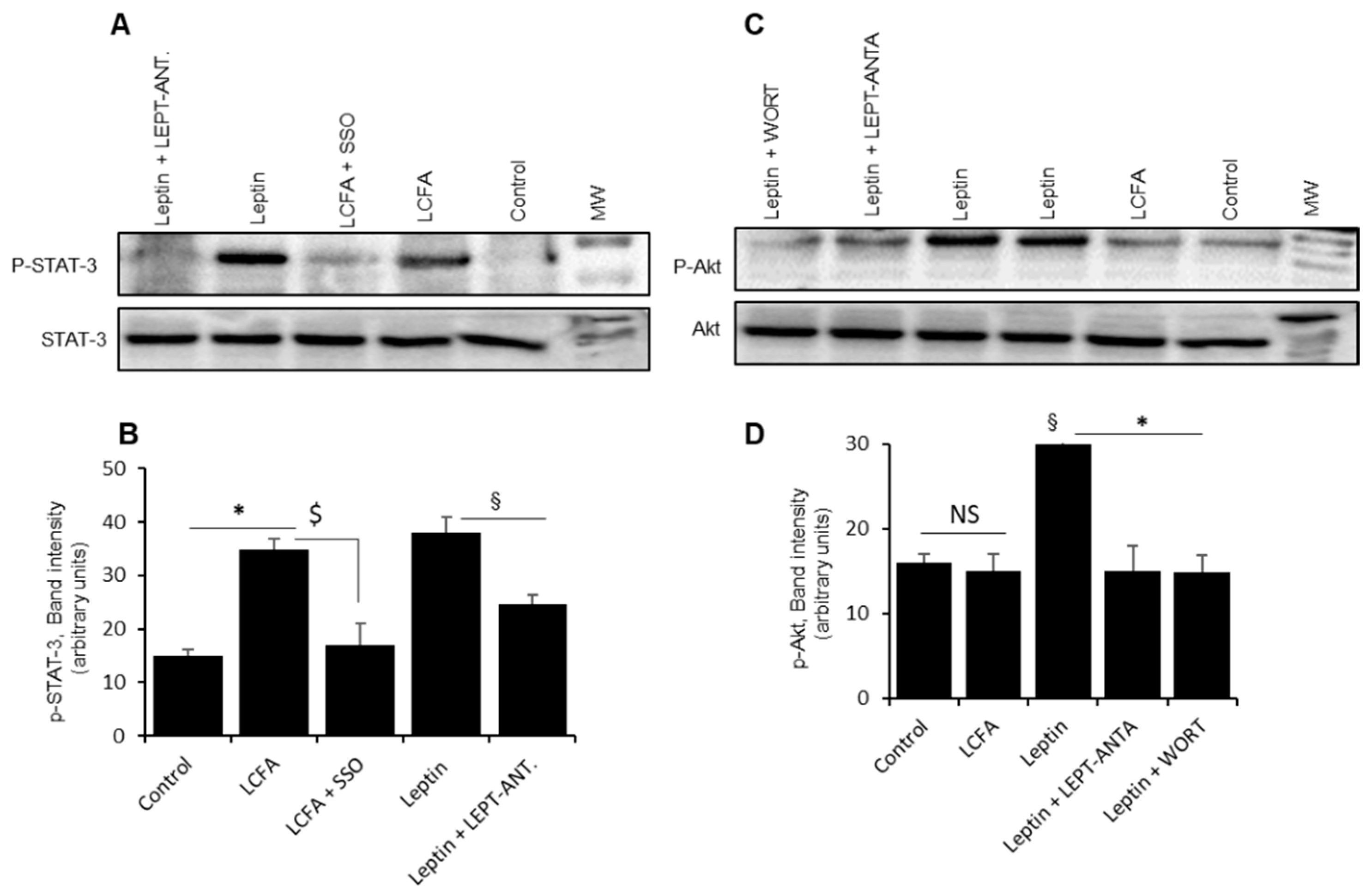 Nutrients 14 00197 g005