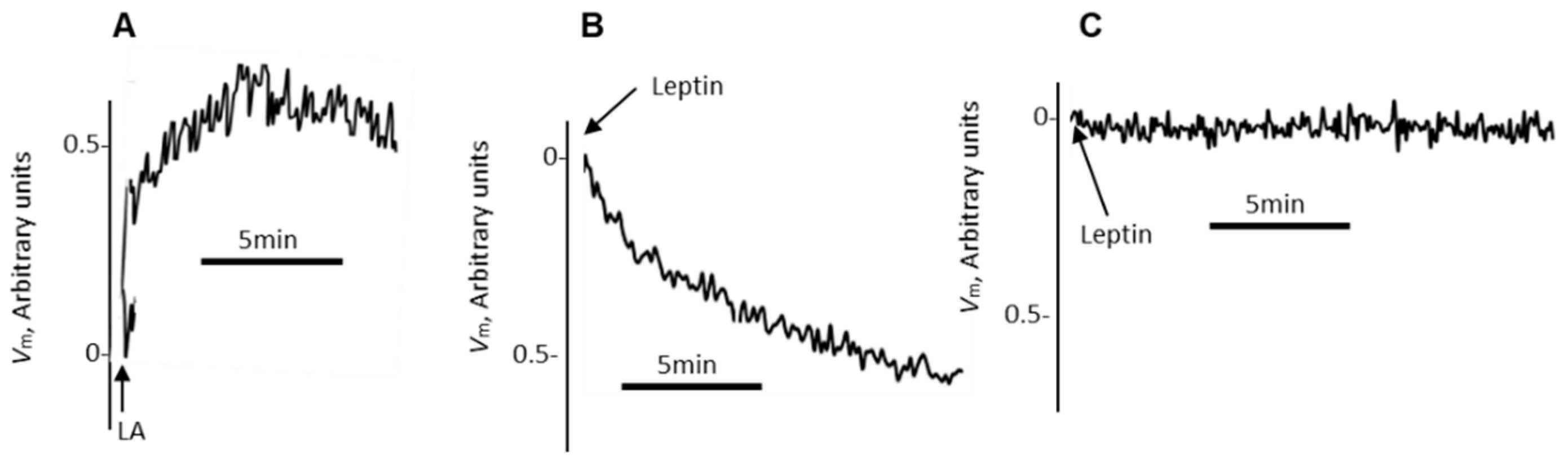 Nutrients 14 00197 g006