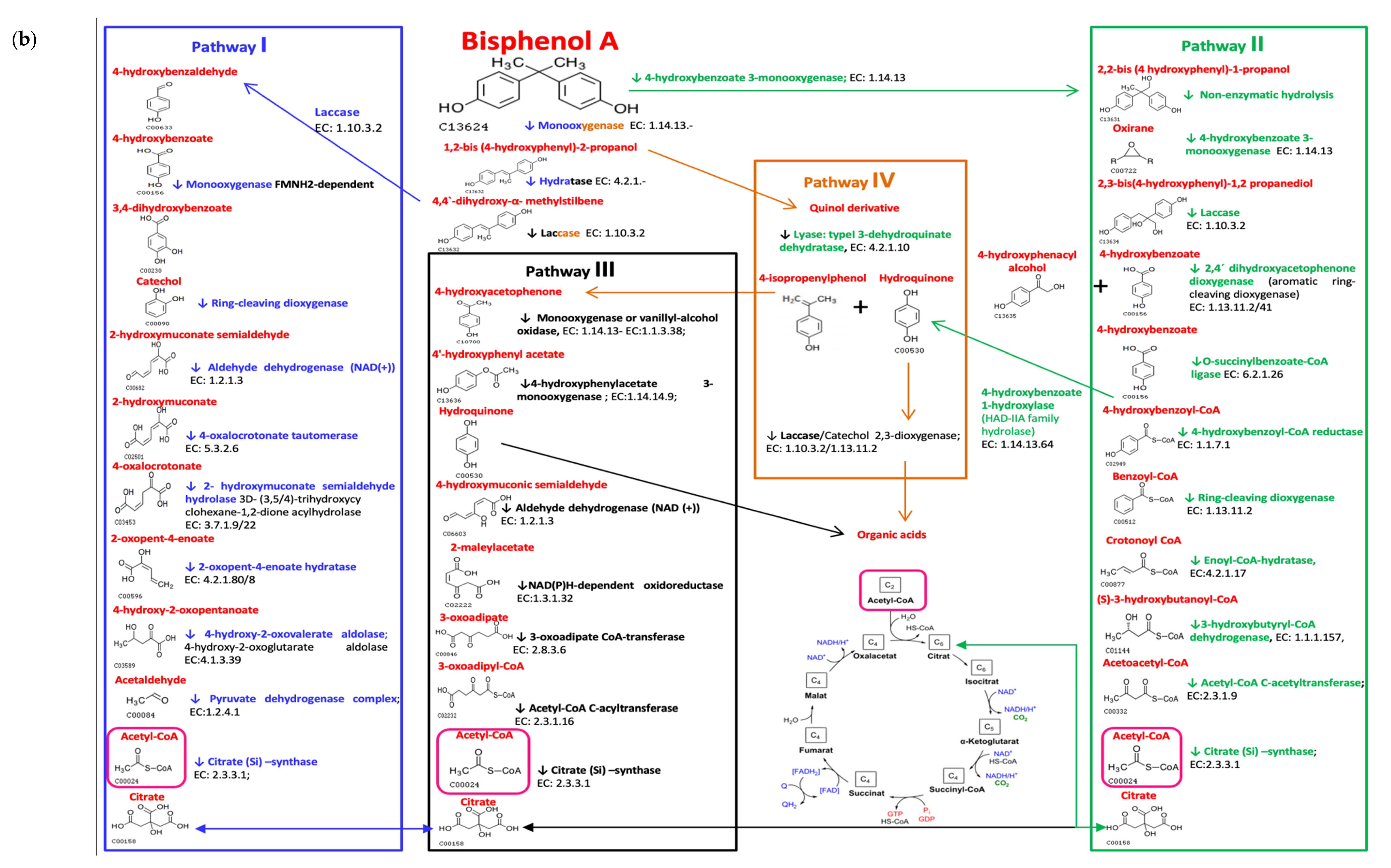 Nutrients 14 00241 g002b