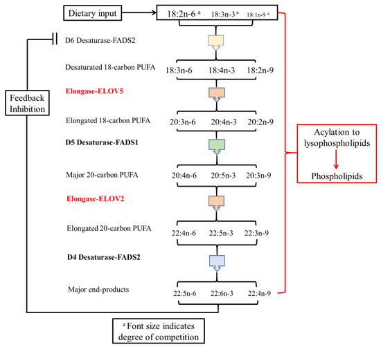 Nutrients 14 00301 g0a1 550