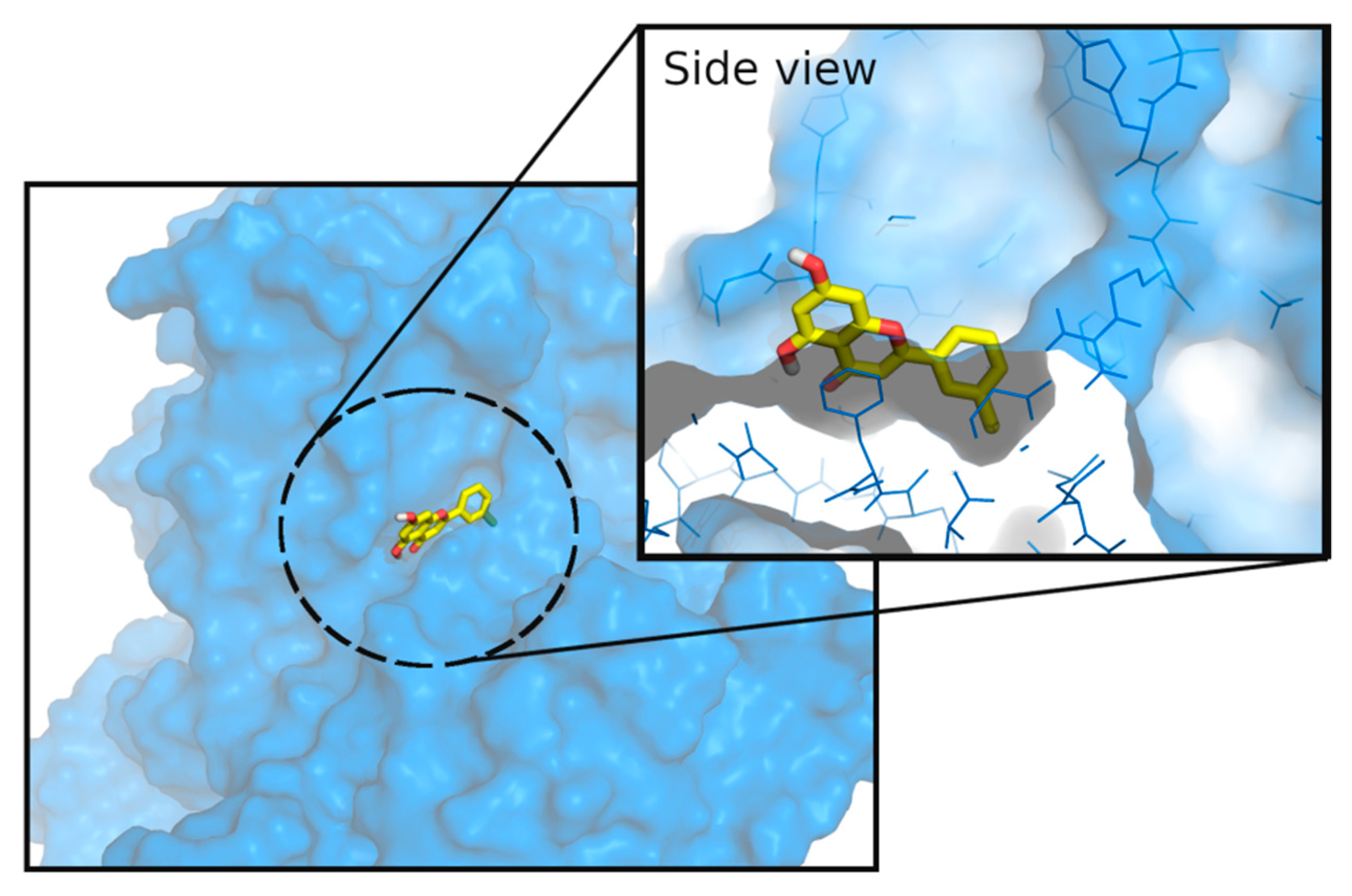 Nutrients 14 00306 g003