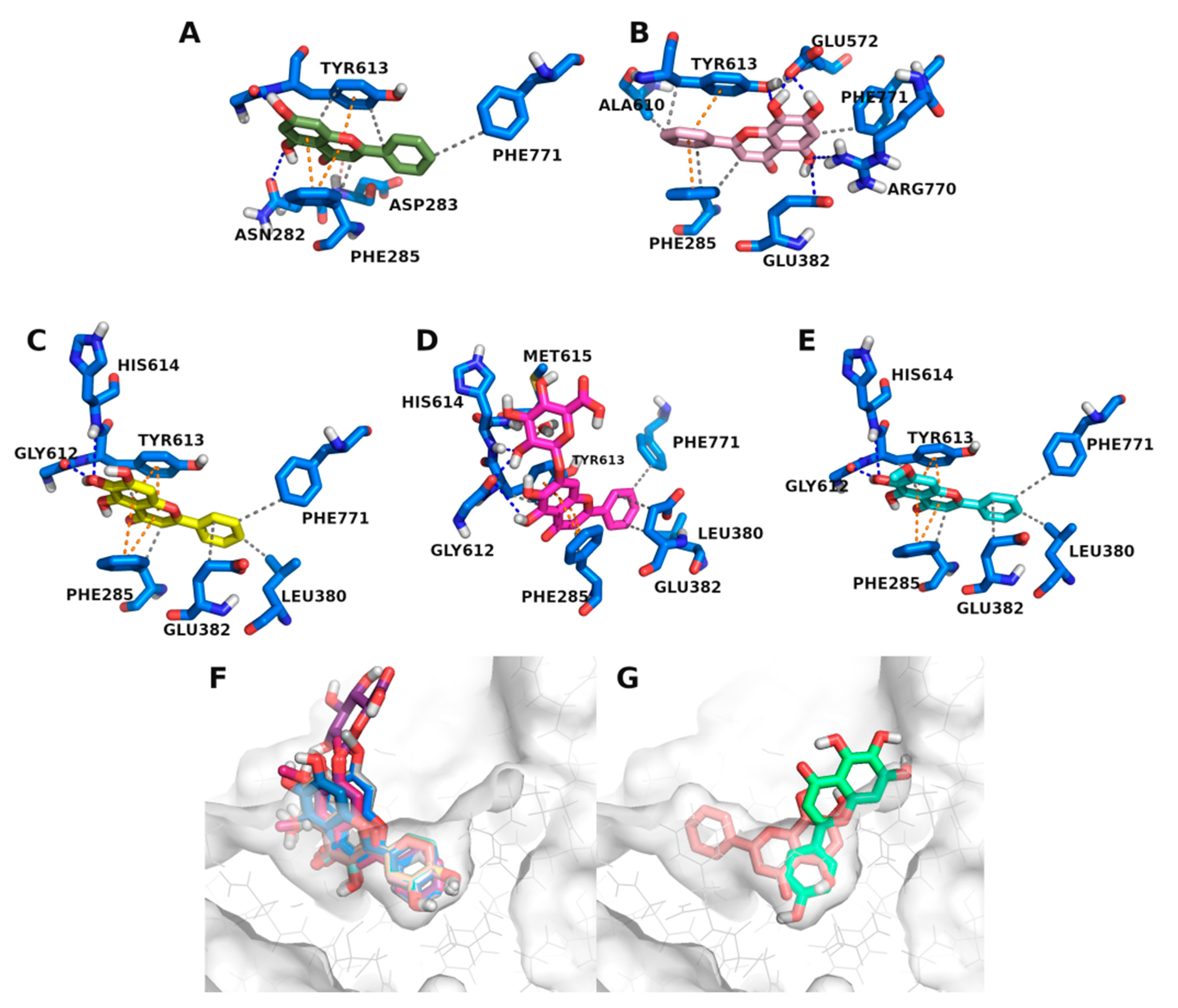 Nutrients 14 00306 g006