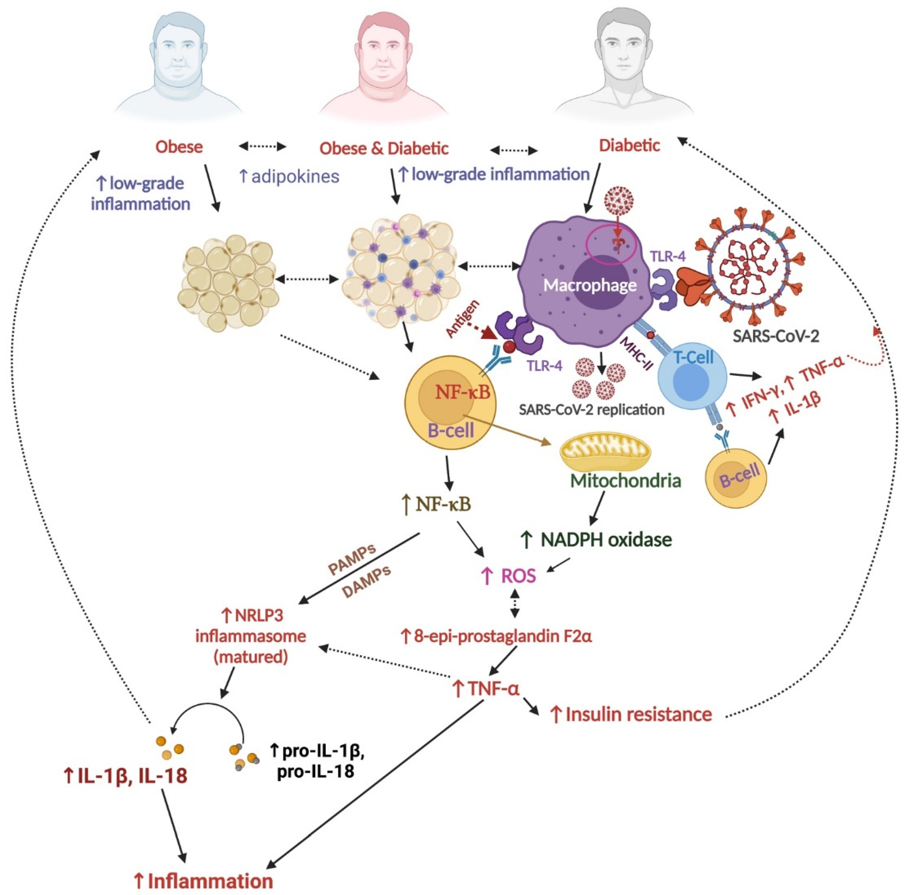 Nutrients 14 00321 g001