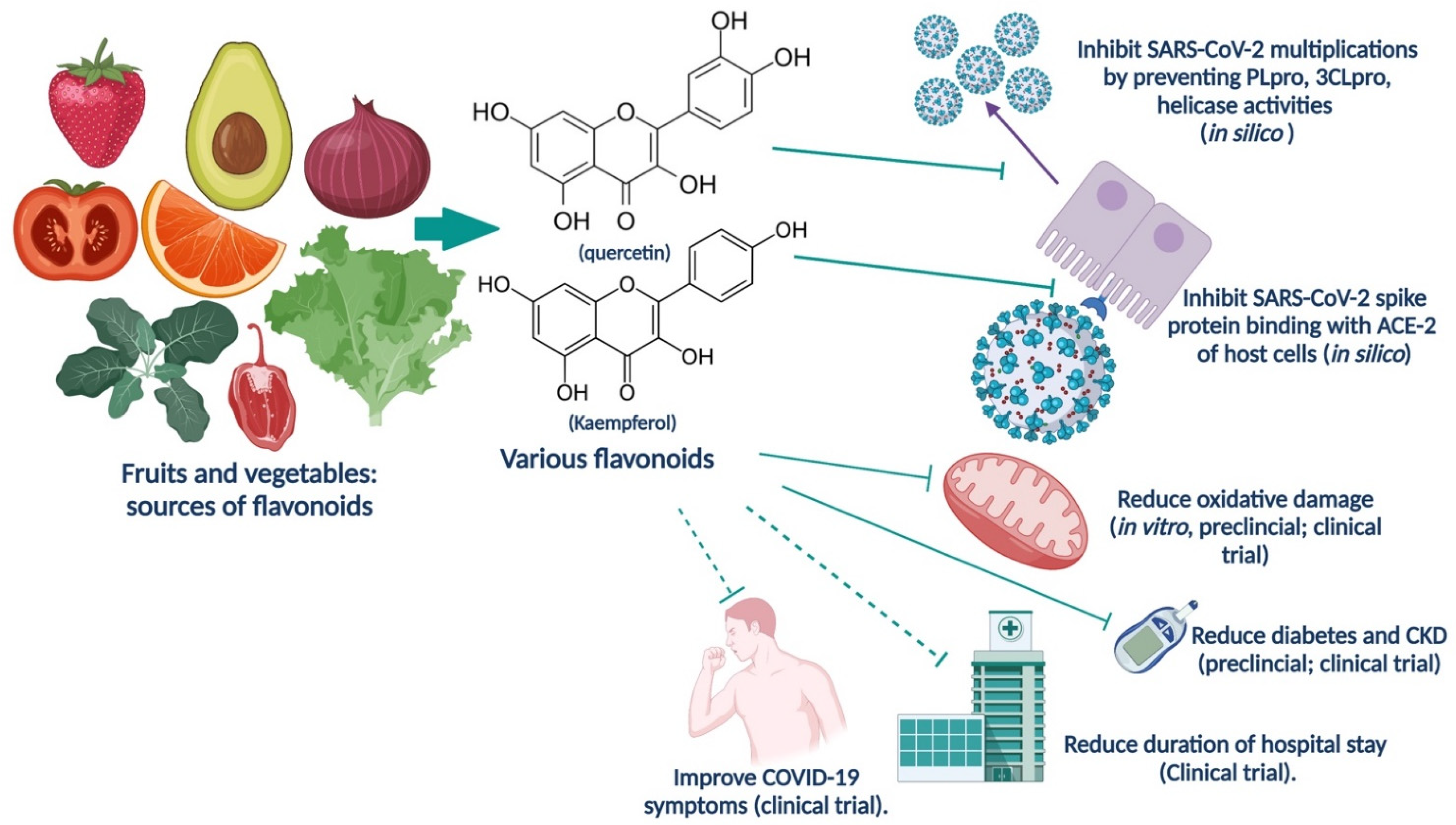 Nutrients 14 00321 g003