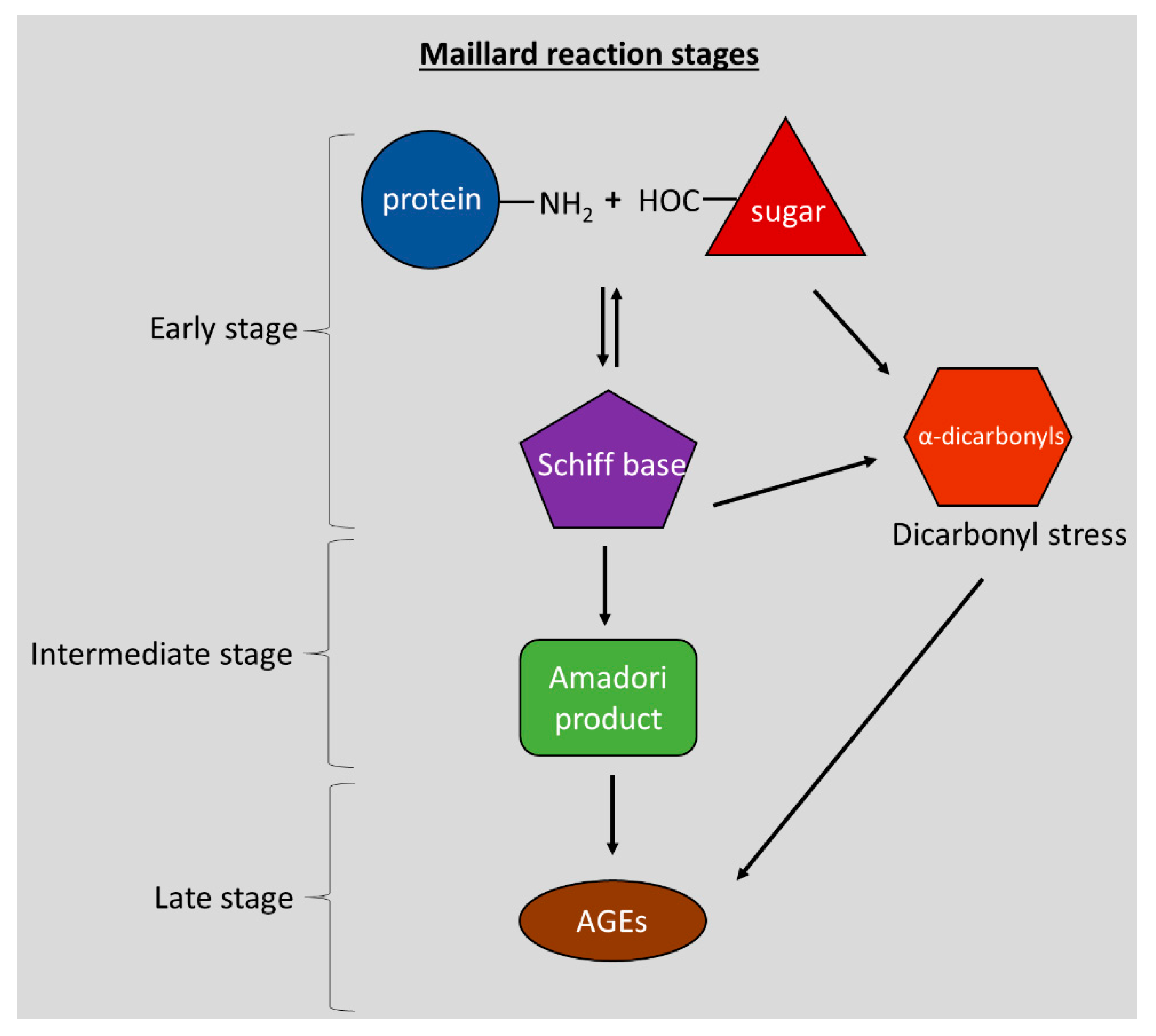 Nutrients 14 00363 g001