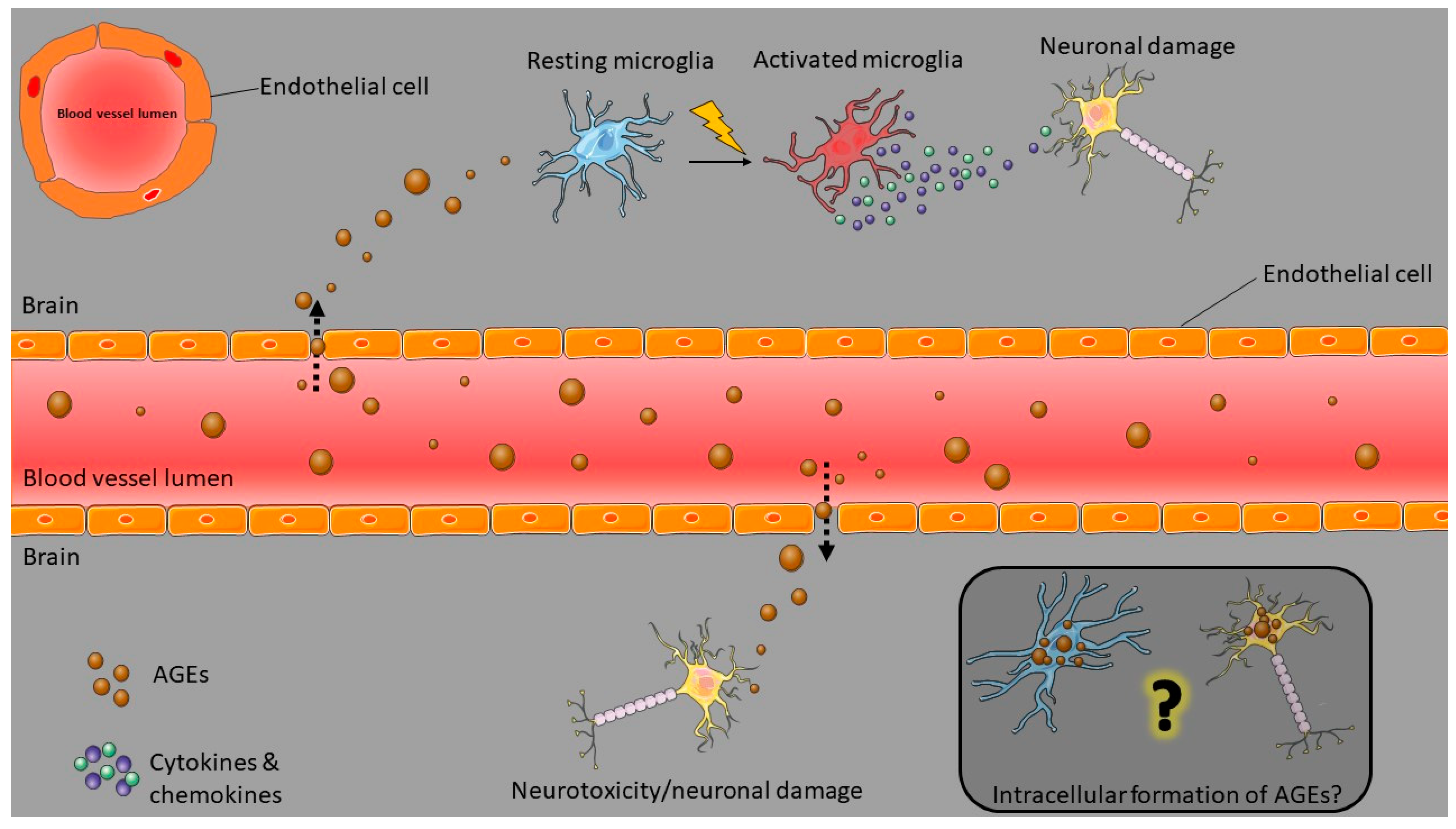 Nutrients 14 00363 g002