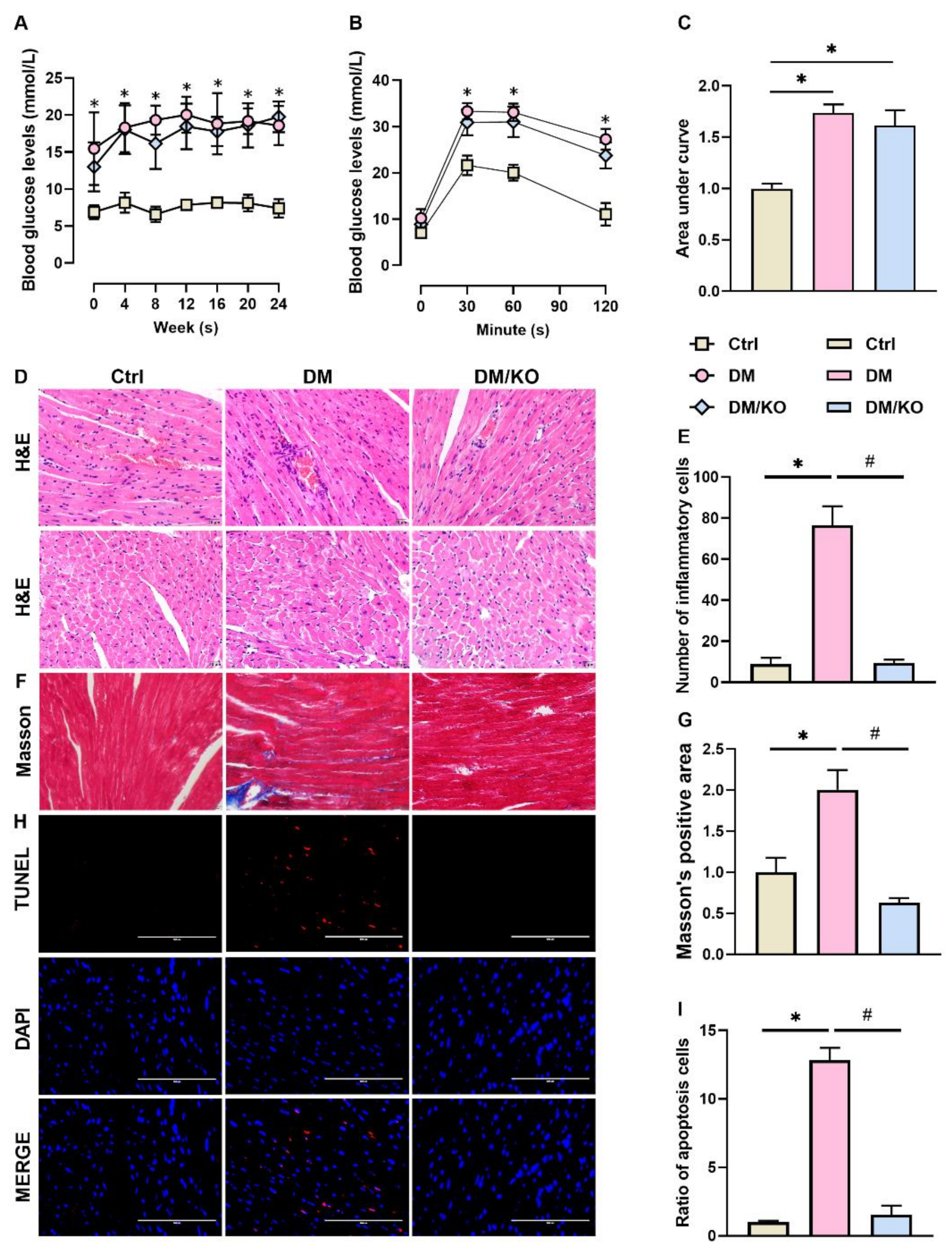 Nutrients 14 00368 g001