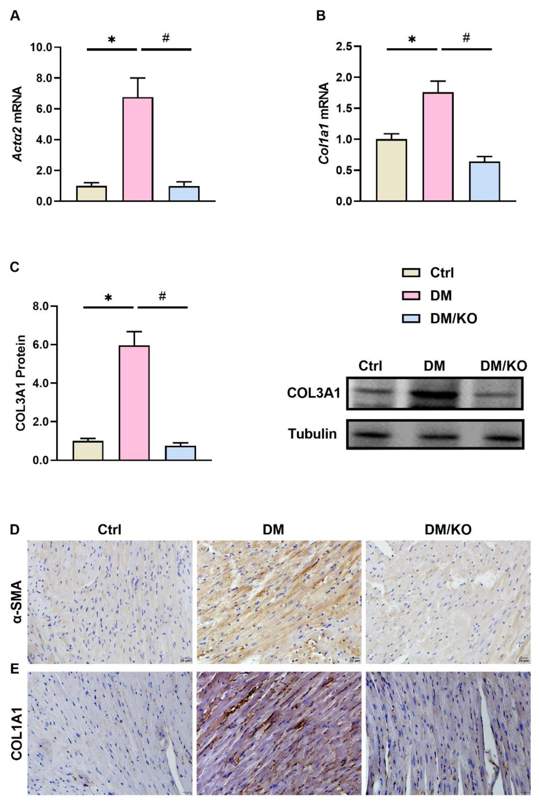 Nutrients 14 00368 g002