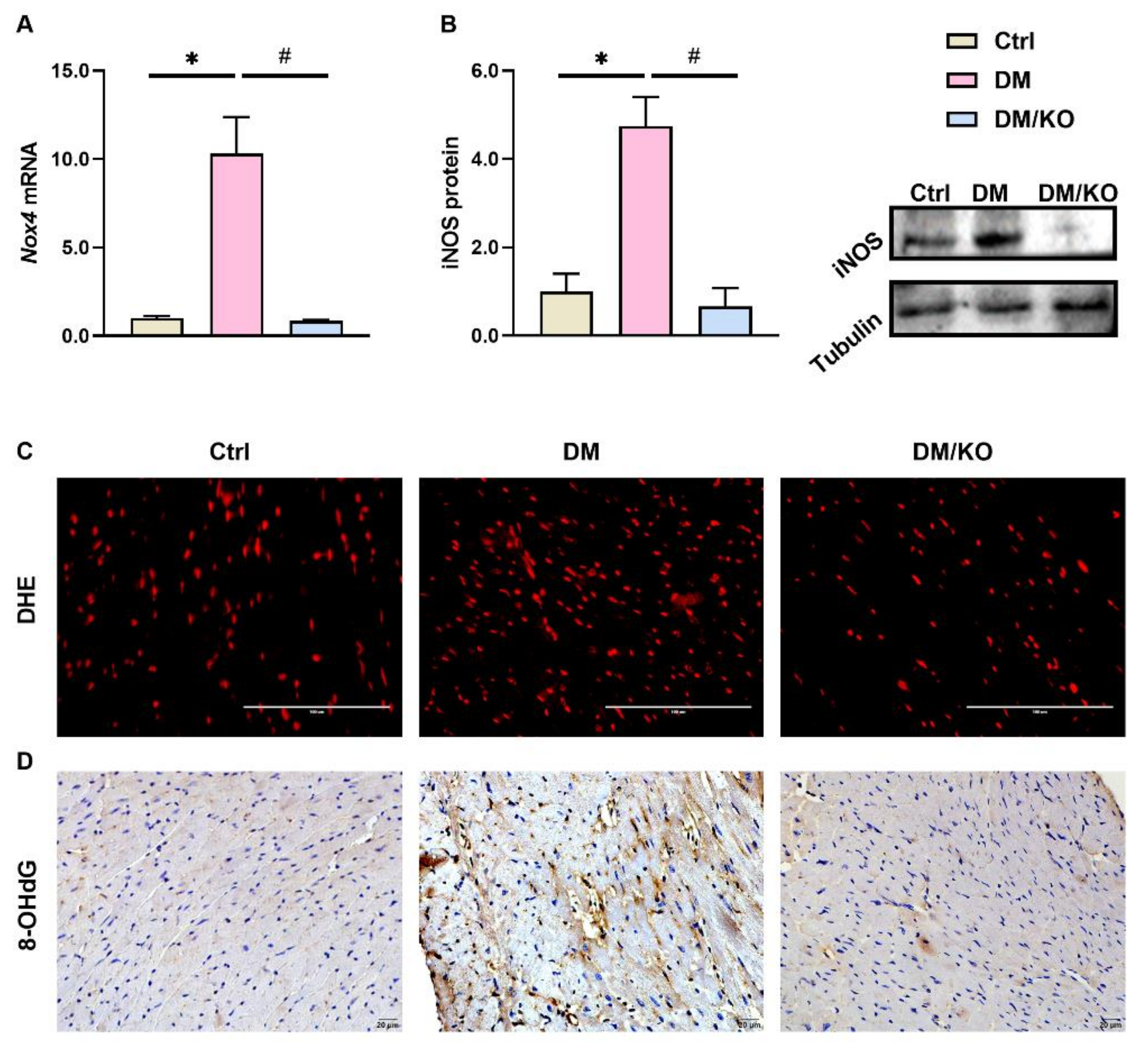 Nutrients 14 00368 g003