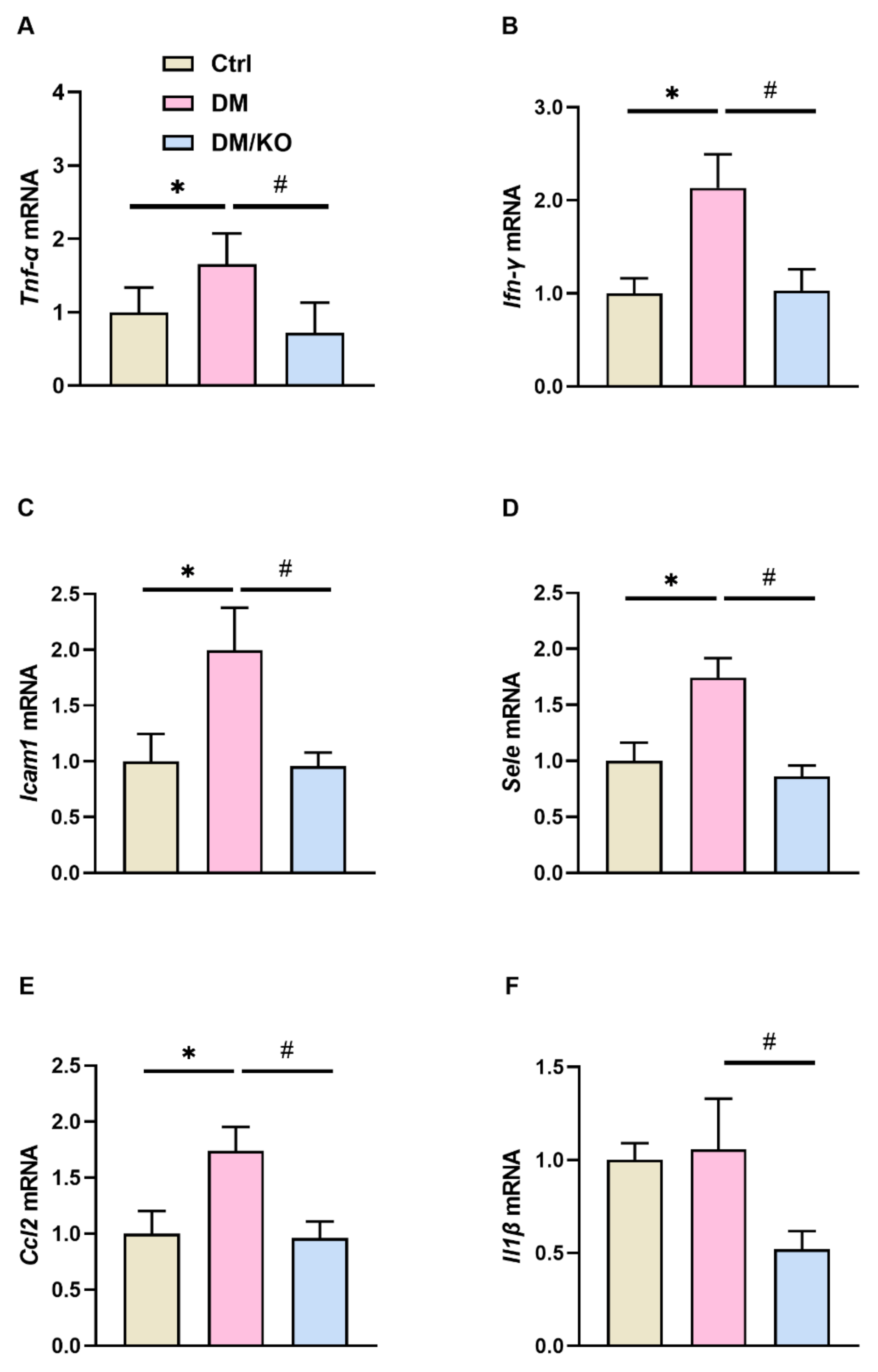 Nutrients 14 00368 g004
