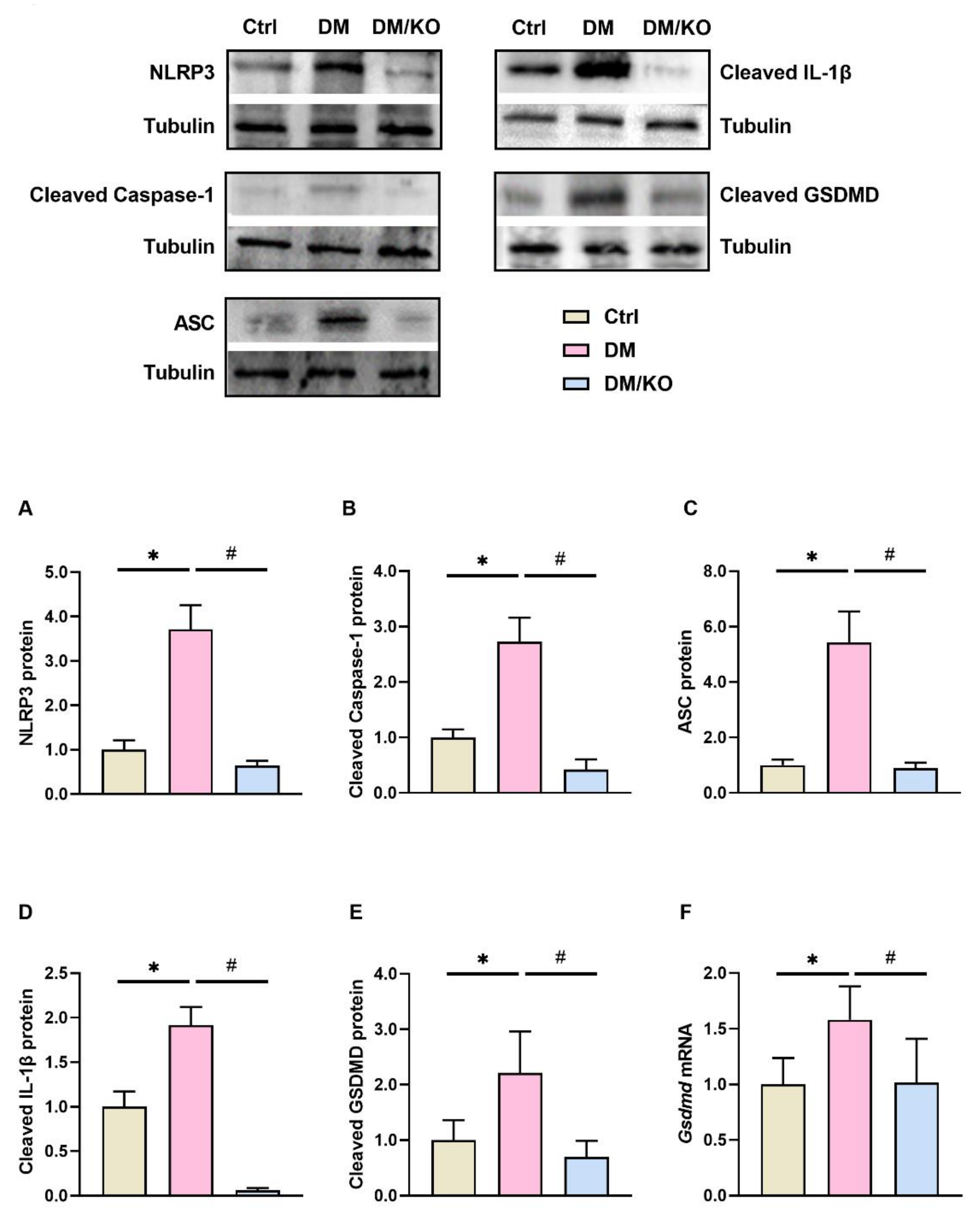 Nutrients 14 00368 g005