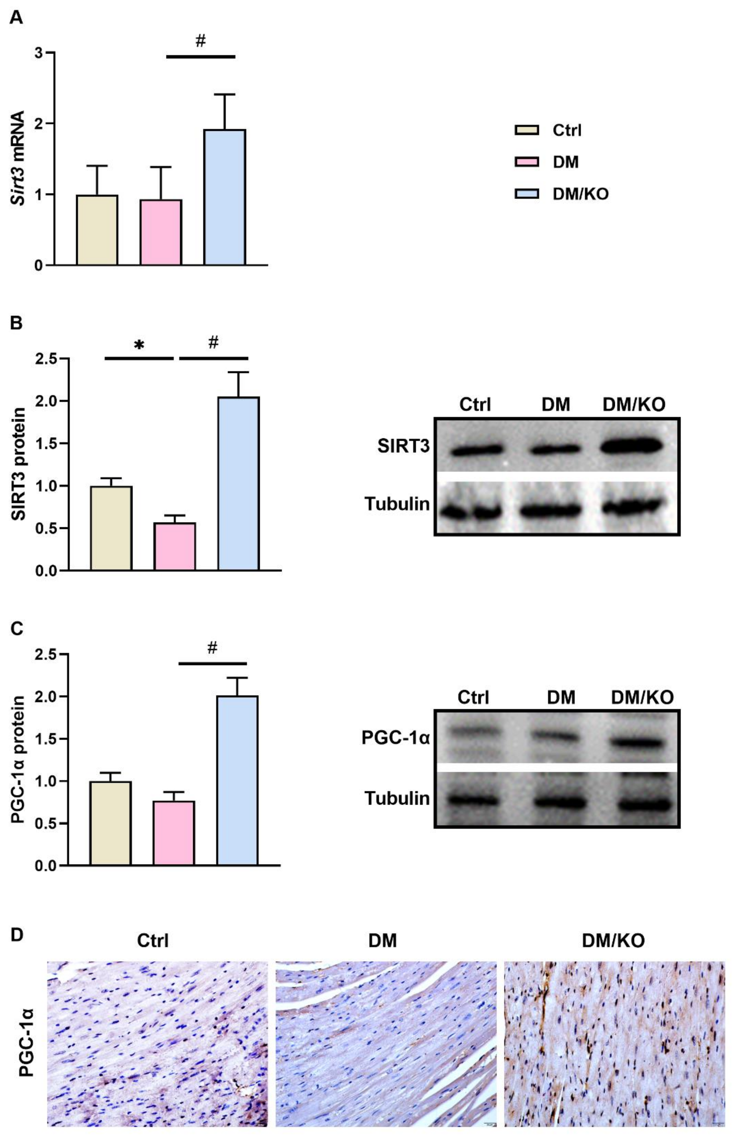 Nutrients 14 00368 g006