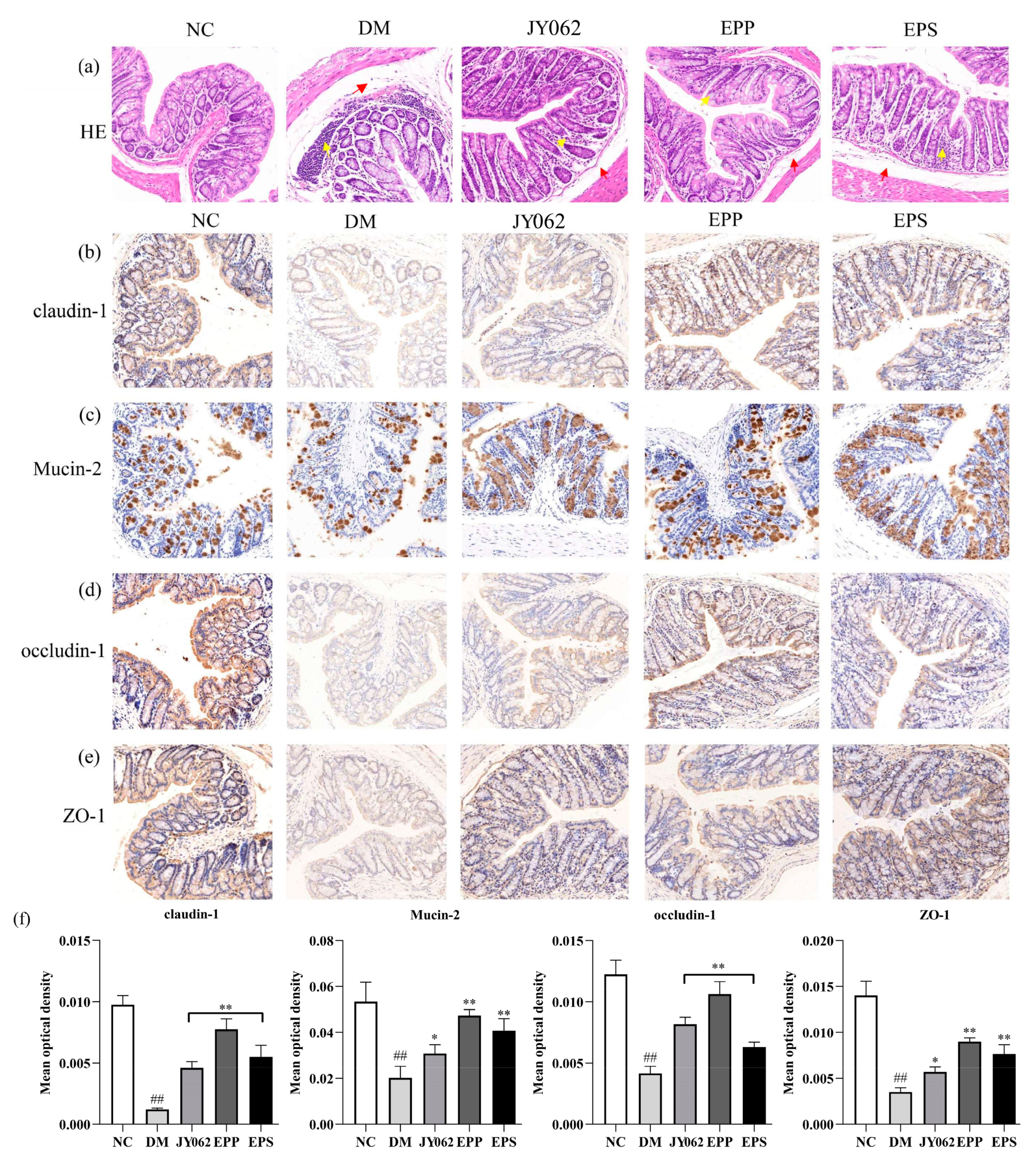 Nutrients 14 00377 g006