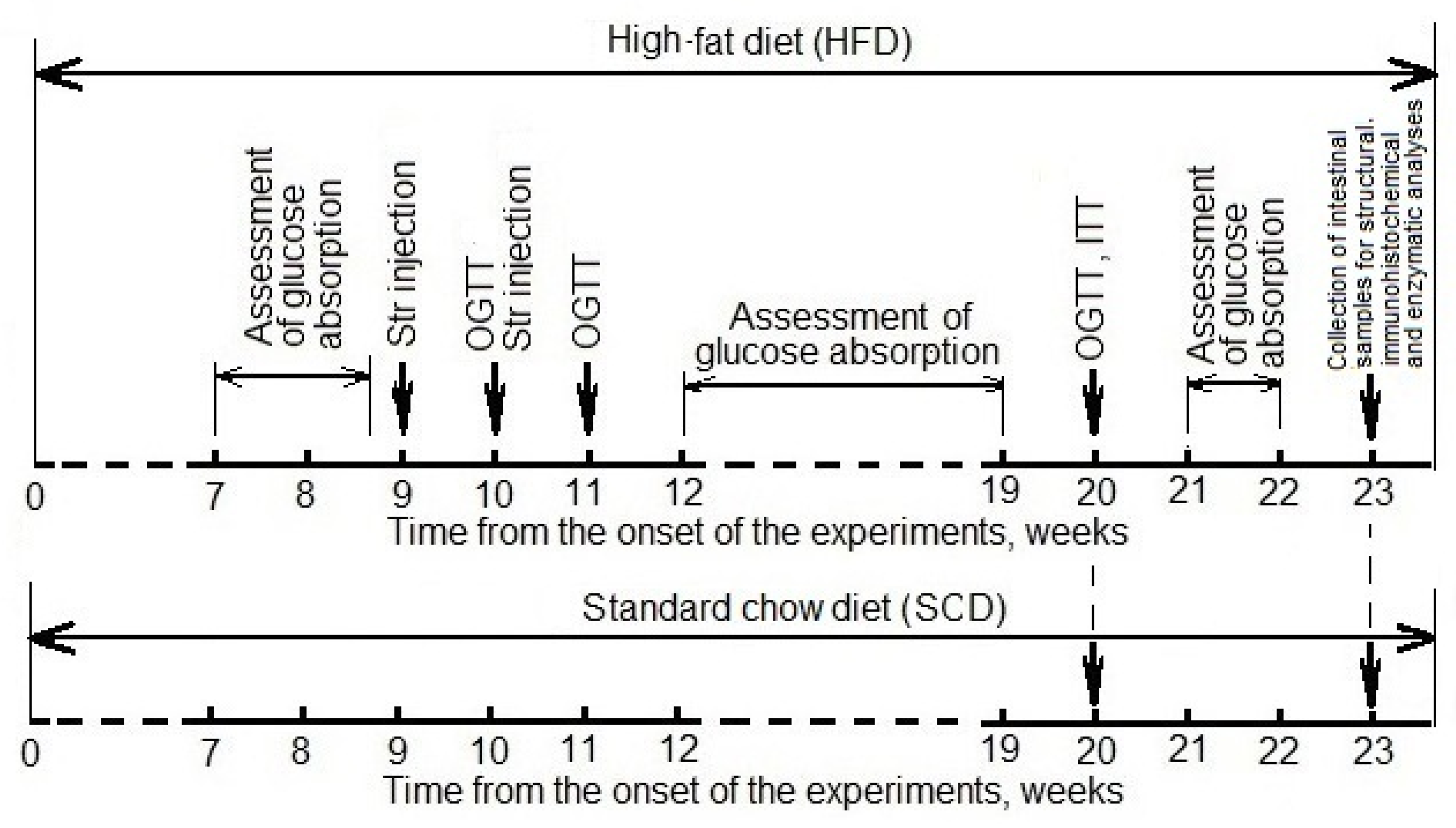 Nutrients 14 00385 g001 Nutrients 14 00385 g001