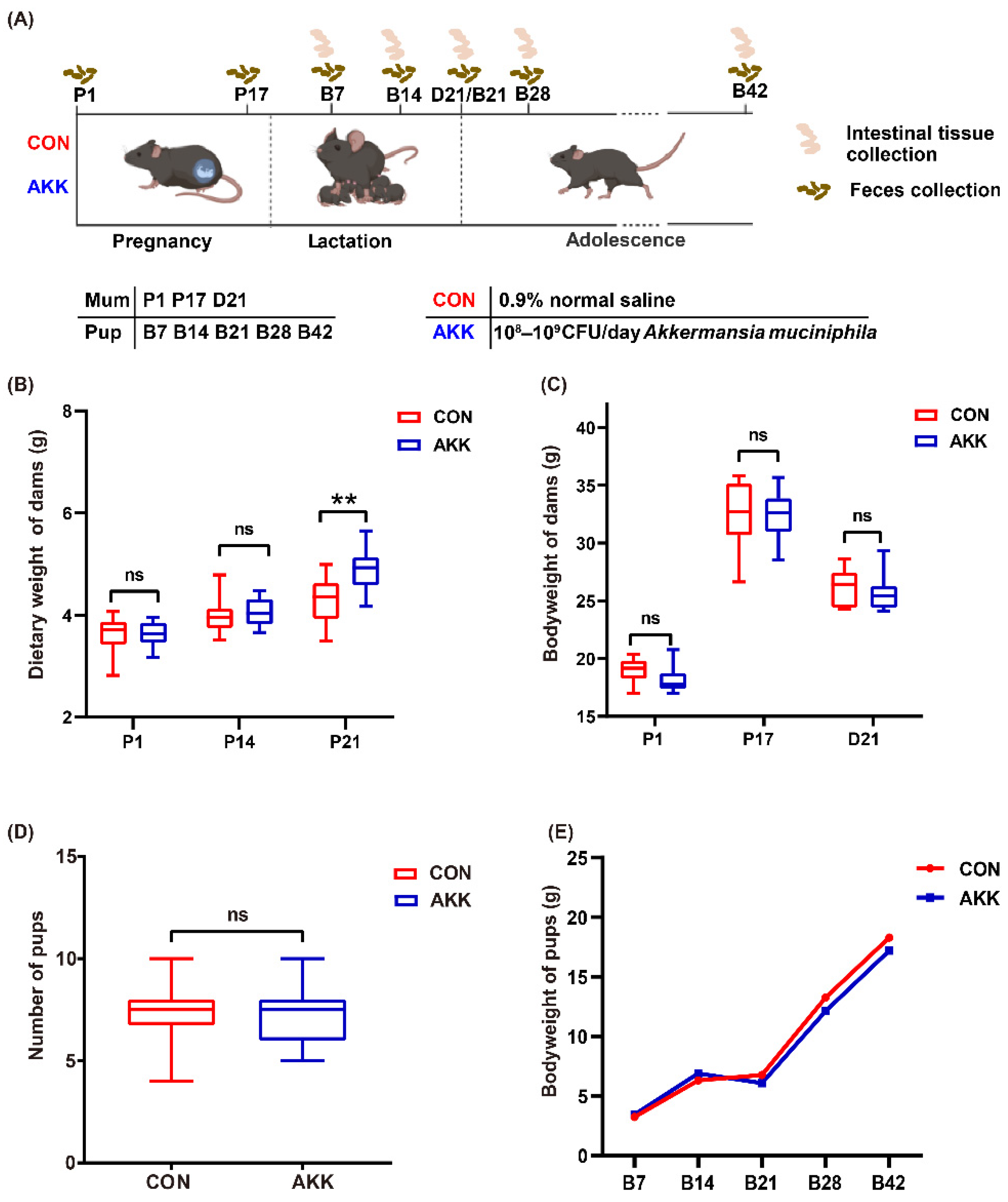 Nutrients 14 00390 g001