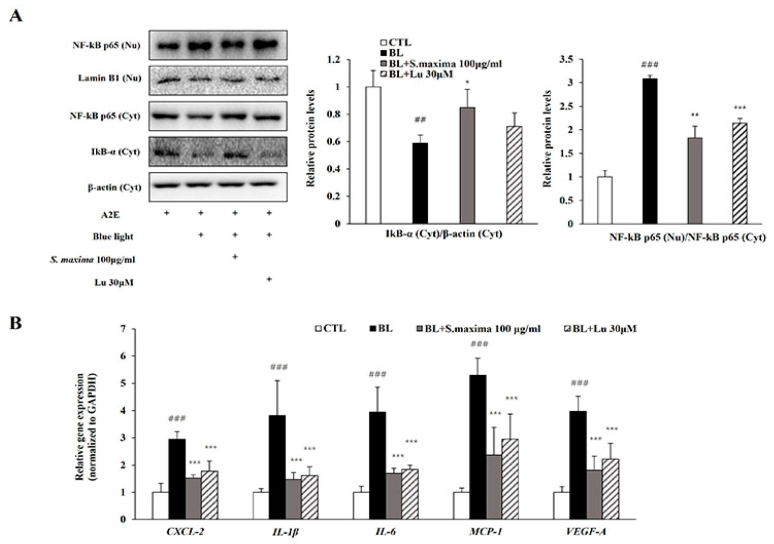 Nutrients 14 00401 g002 Nutrients 14 00401 g002