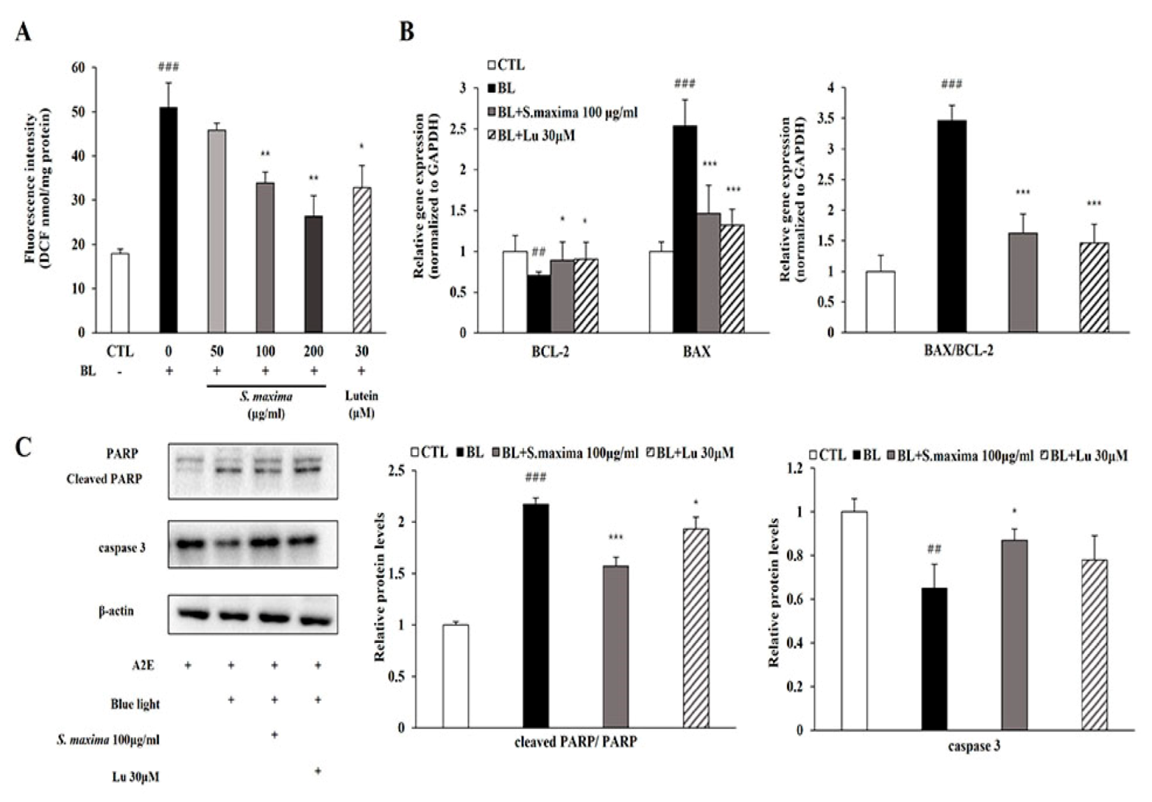 Nutrients 14 00401 g003 Nutrients 14 00401 g003