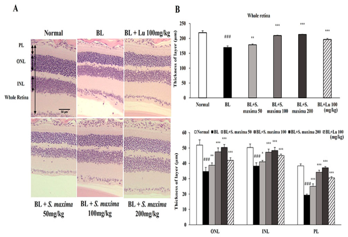 Nutrients 14 00401 g004 Nutrients 14 00401 g004