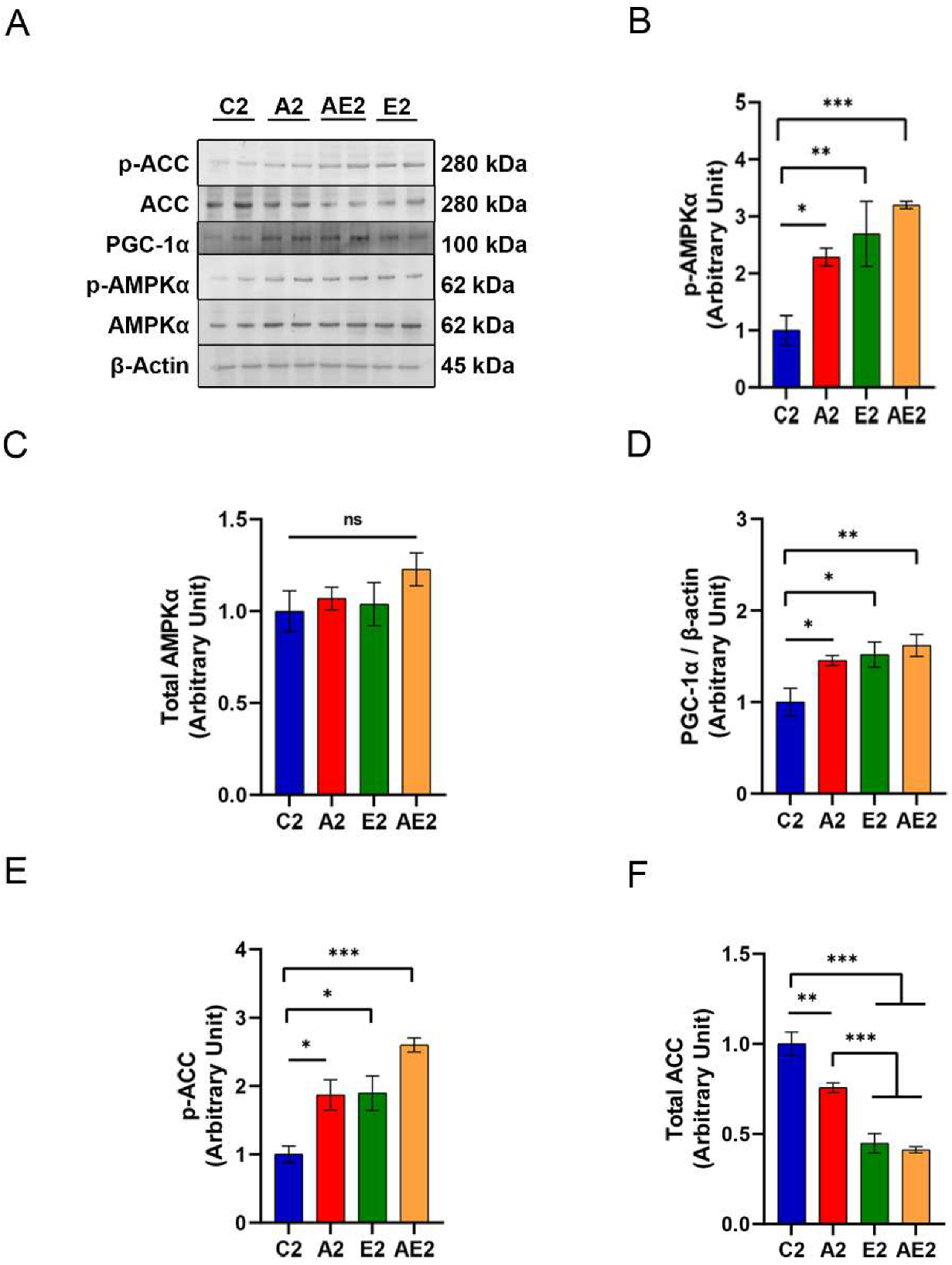 Nutrients 14 00404 g009
