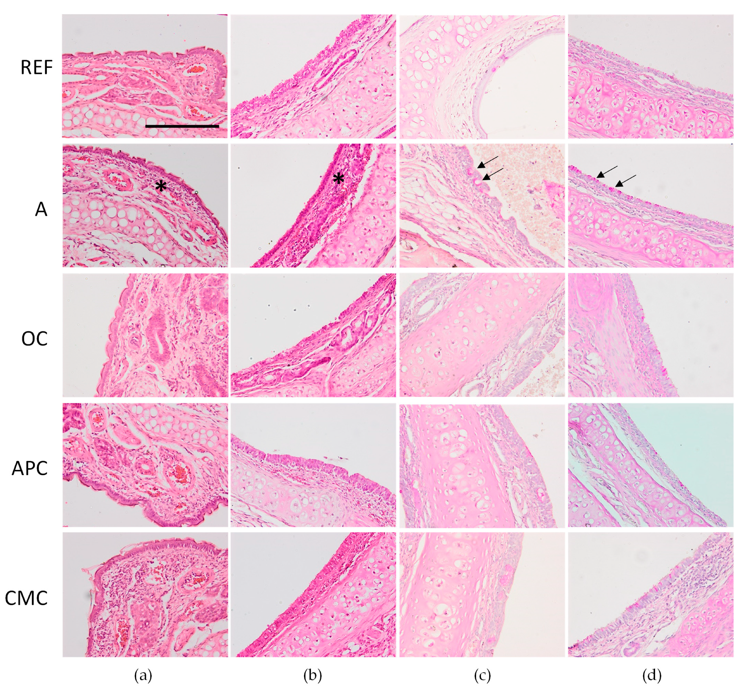 Nutrients 14 00410 g006