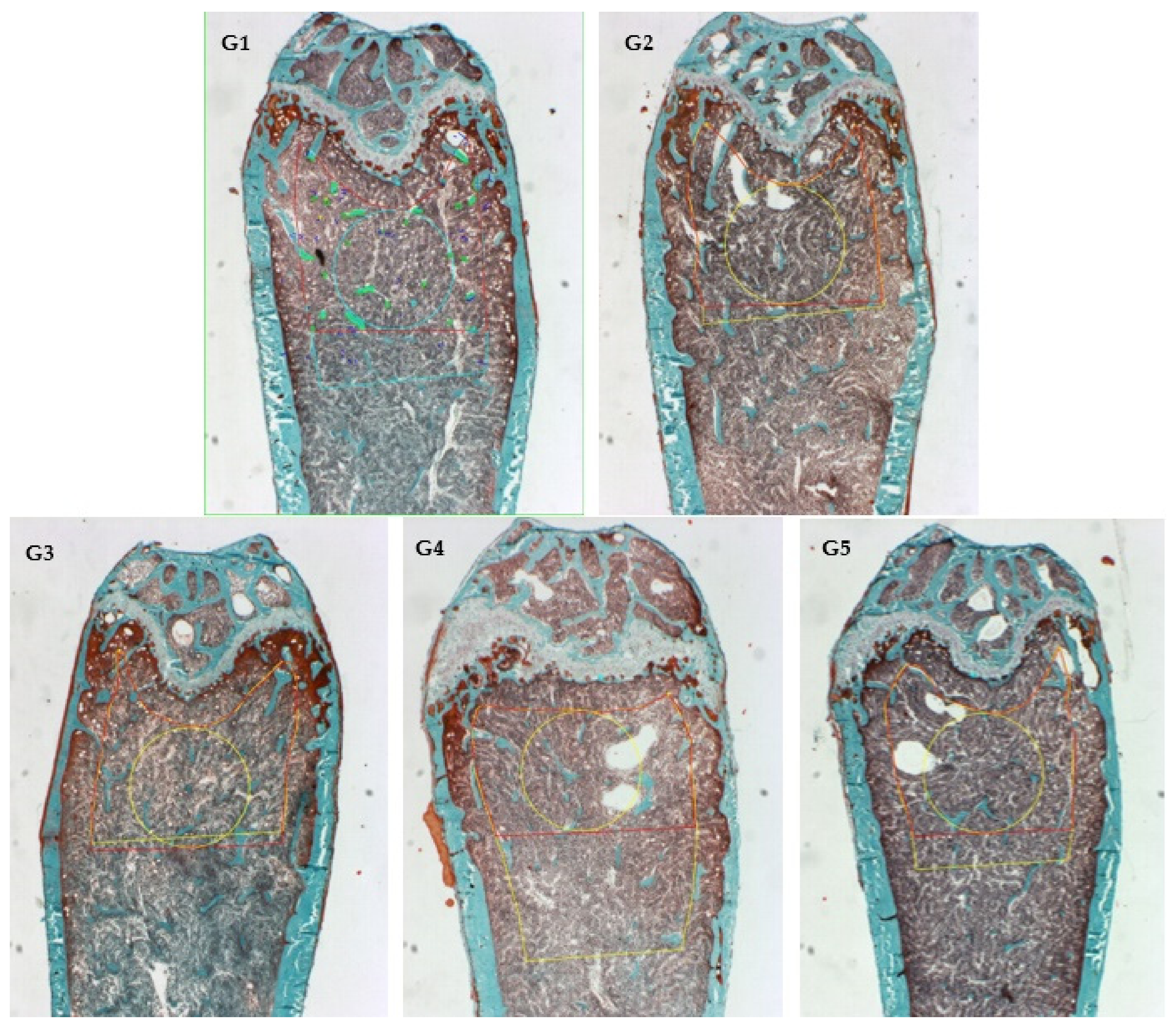 Nutrients 14 00422 g003