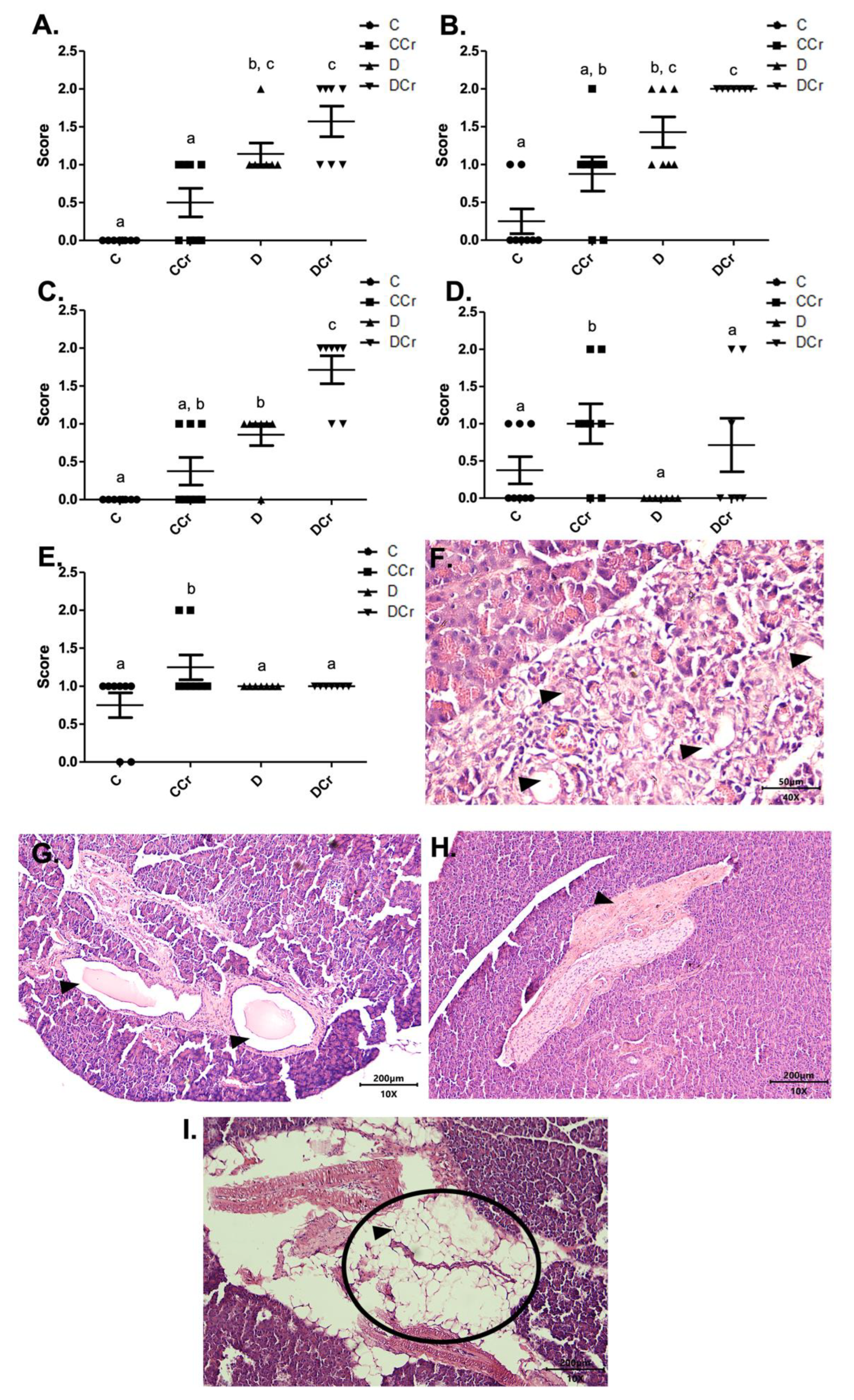 Nutrients 14 00431 g004 Nutrients 14 00431 g004