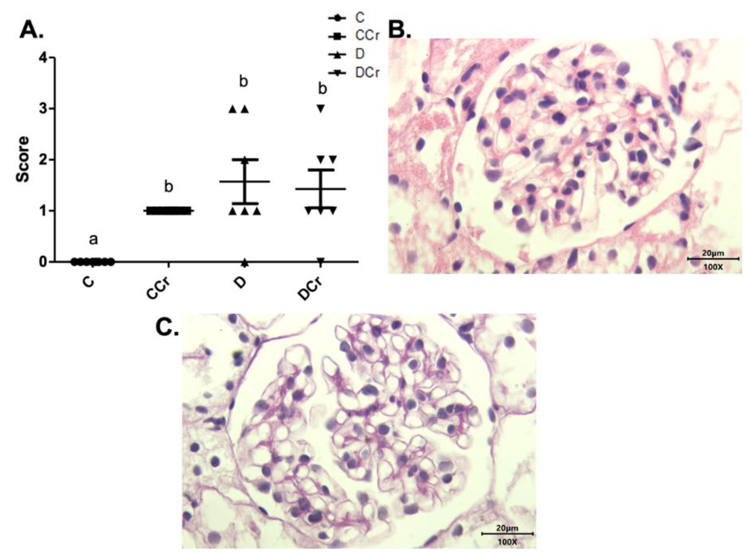 Nutrients 14 00431 g007 Nutrients 14 00431 g007