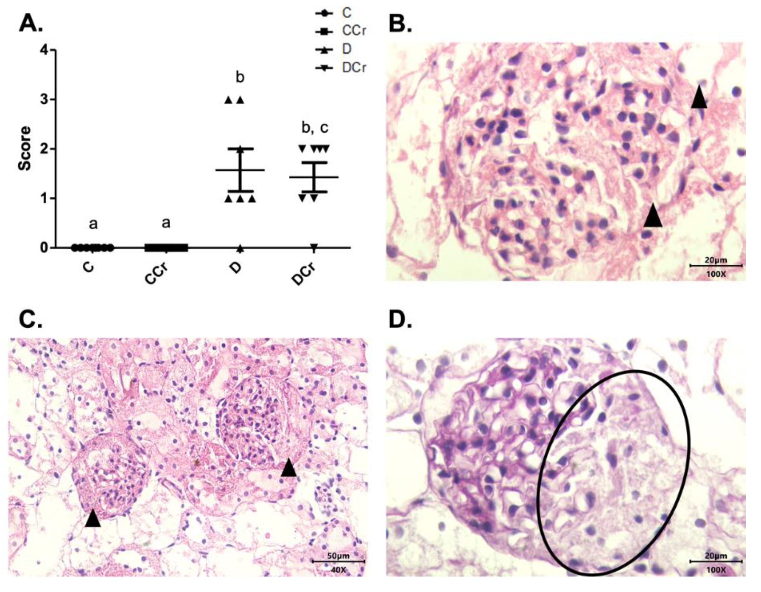 Nutrients 14 00431 g008 Nutrients 14 00431 g008