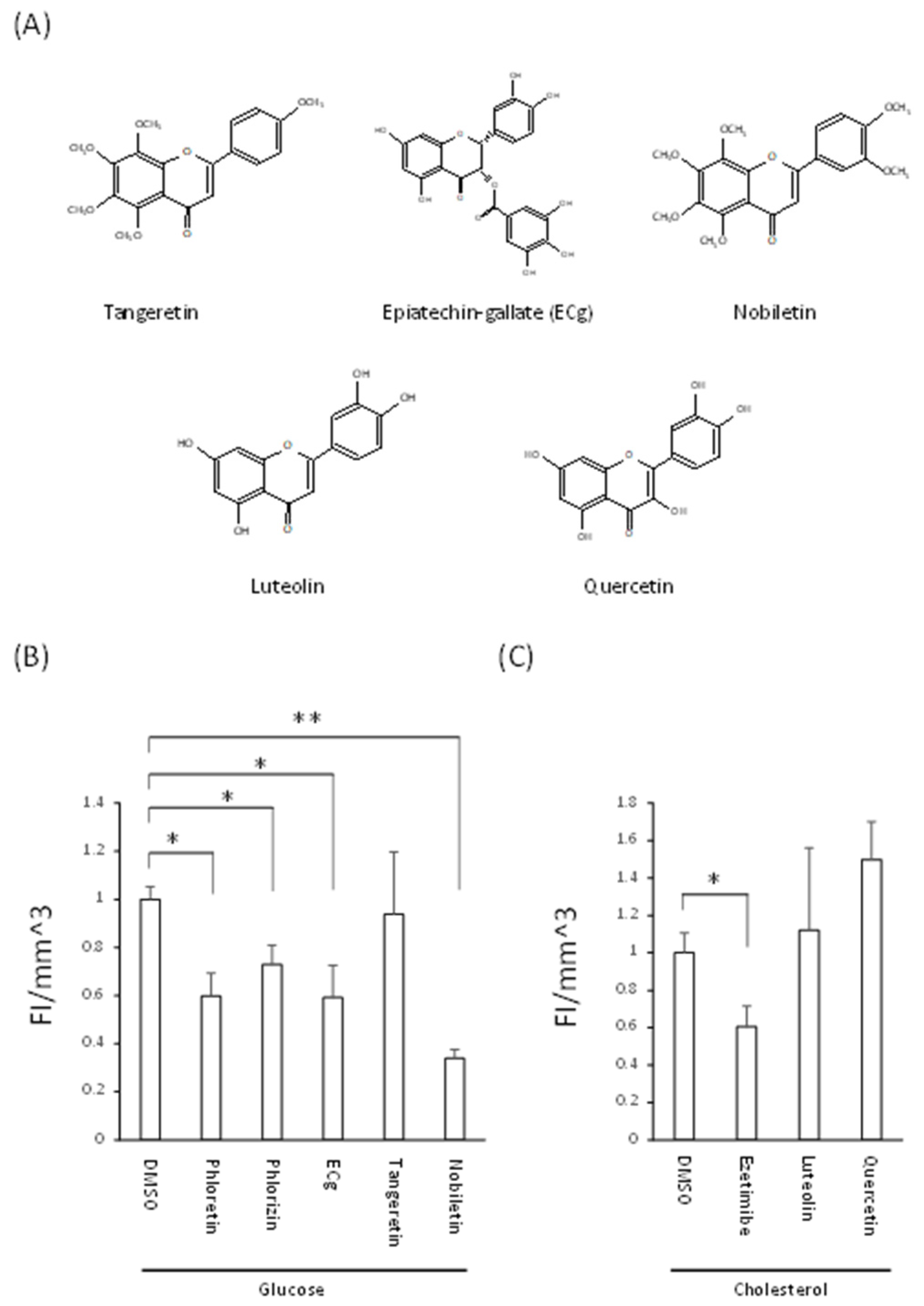 Nutrients 14 00438 g004 Nutrients 14 00438 g004