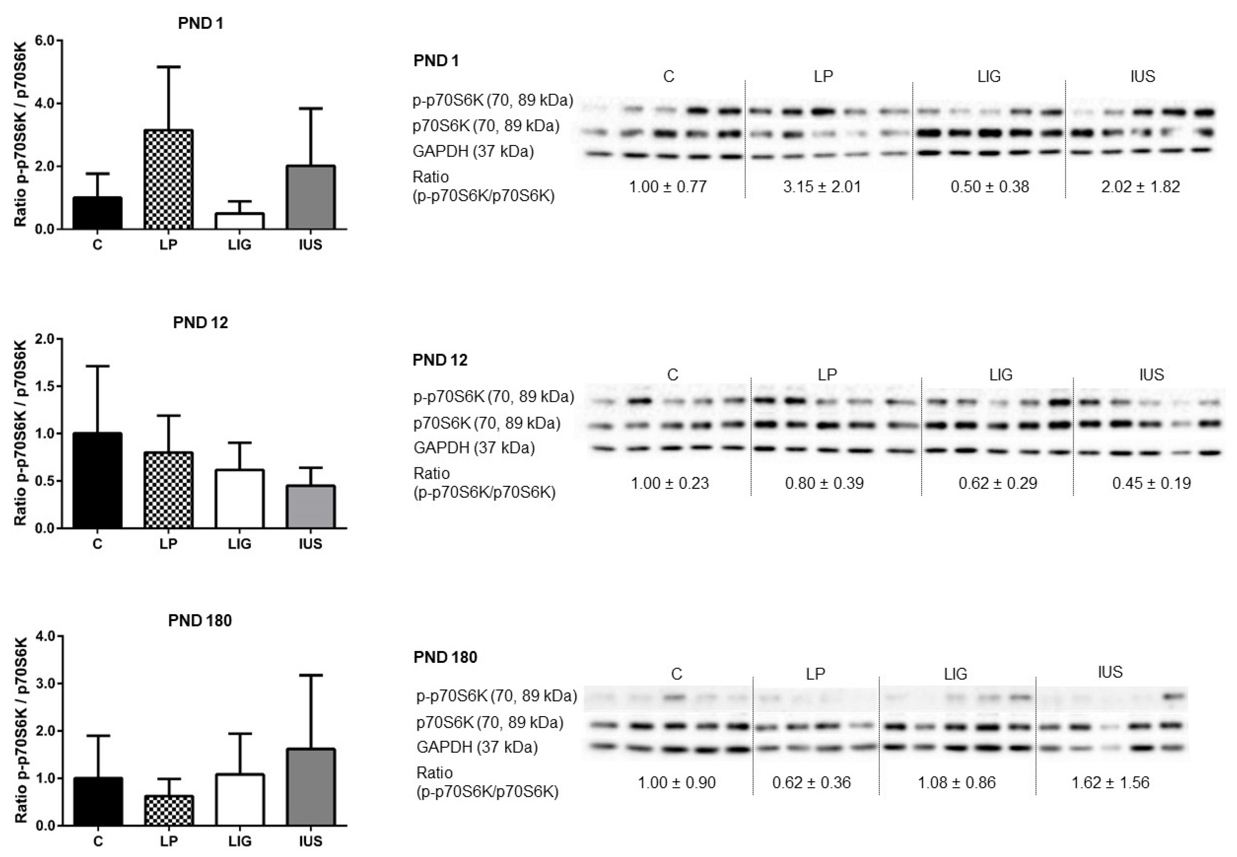 Nutrients 14 00451 g005 Nutrients 14 00451 g005