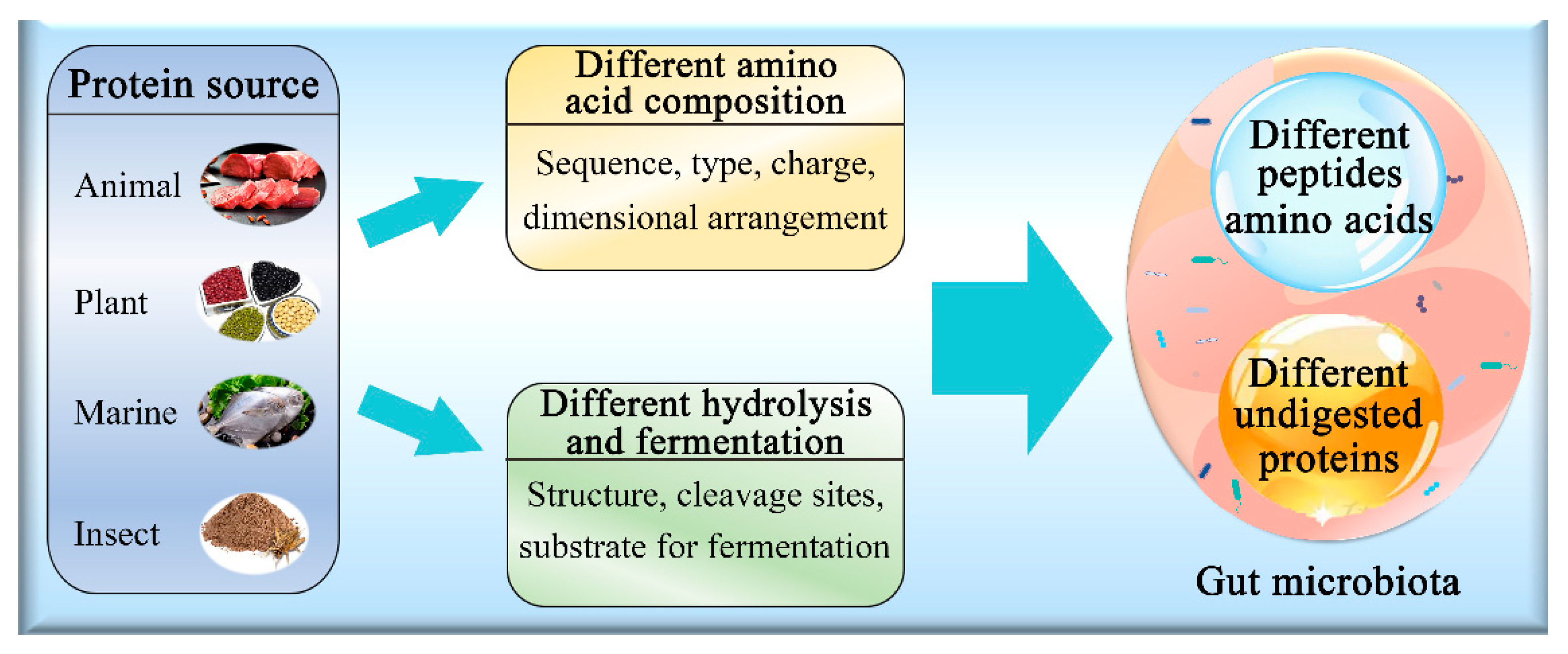 Nutrients 14 00453 g002