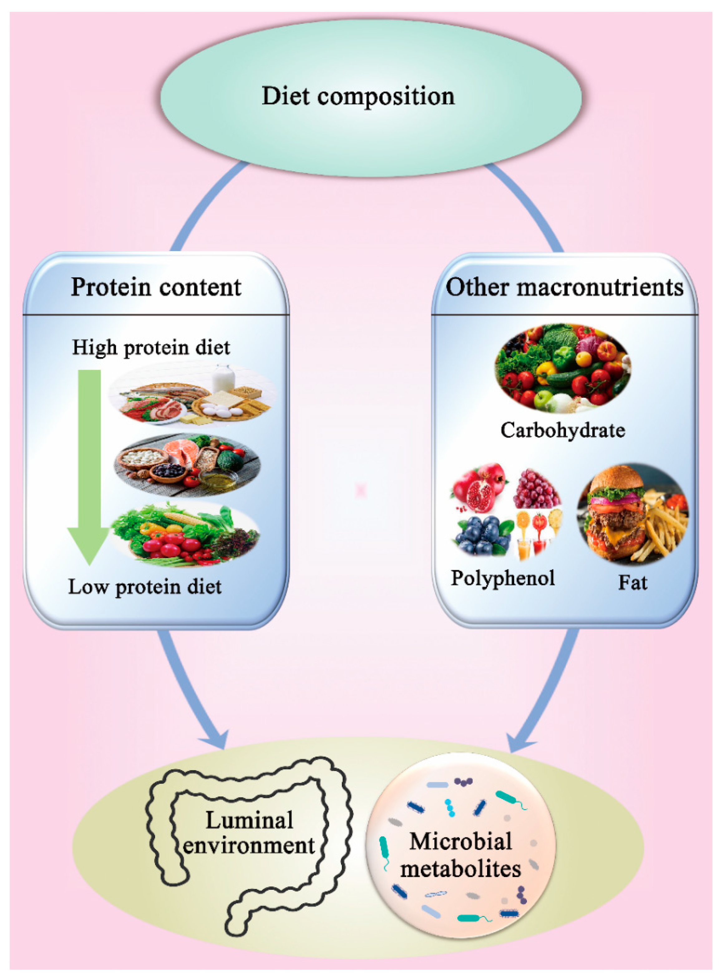 Nutrients 14 00453 g003