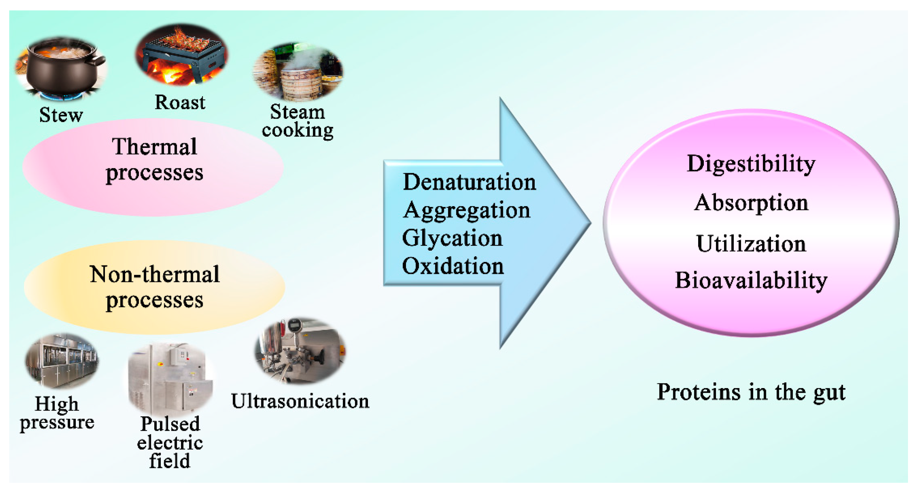 Nutrients 14 00453 g004