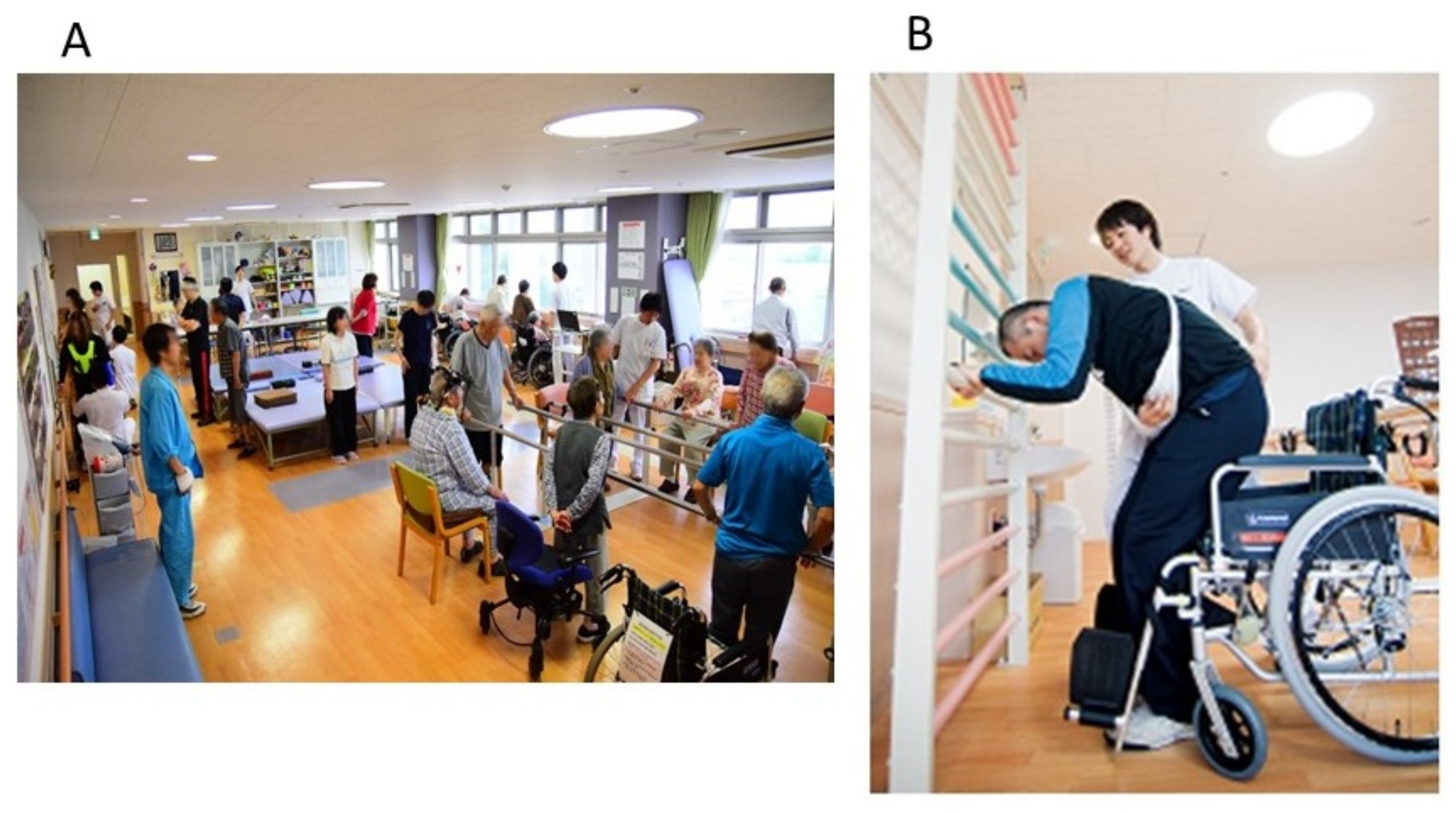 Nutrients 14 00461 g001