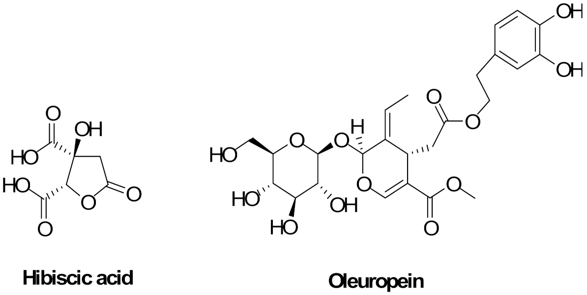 Nutrients 14 00463 g001