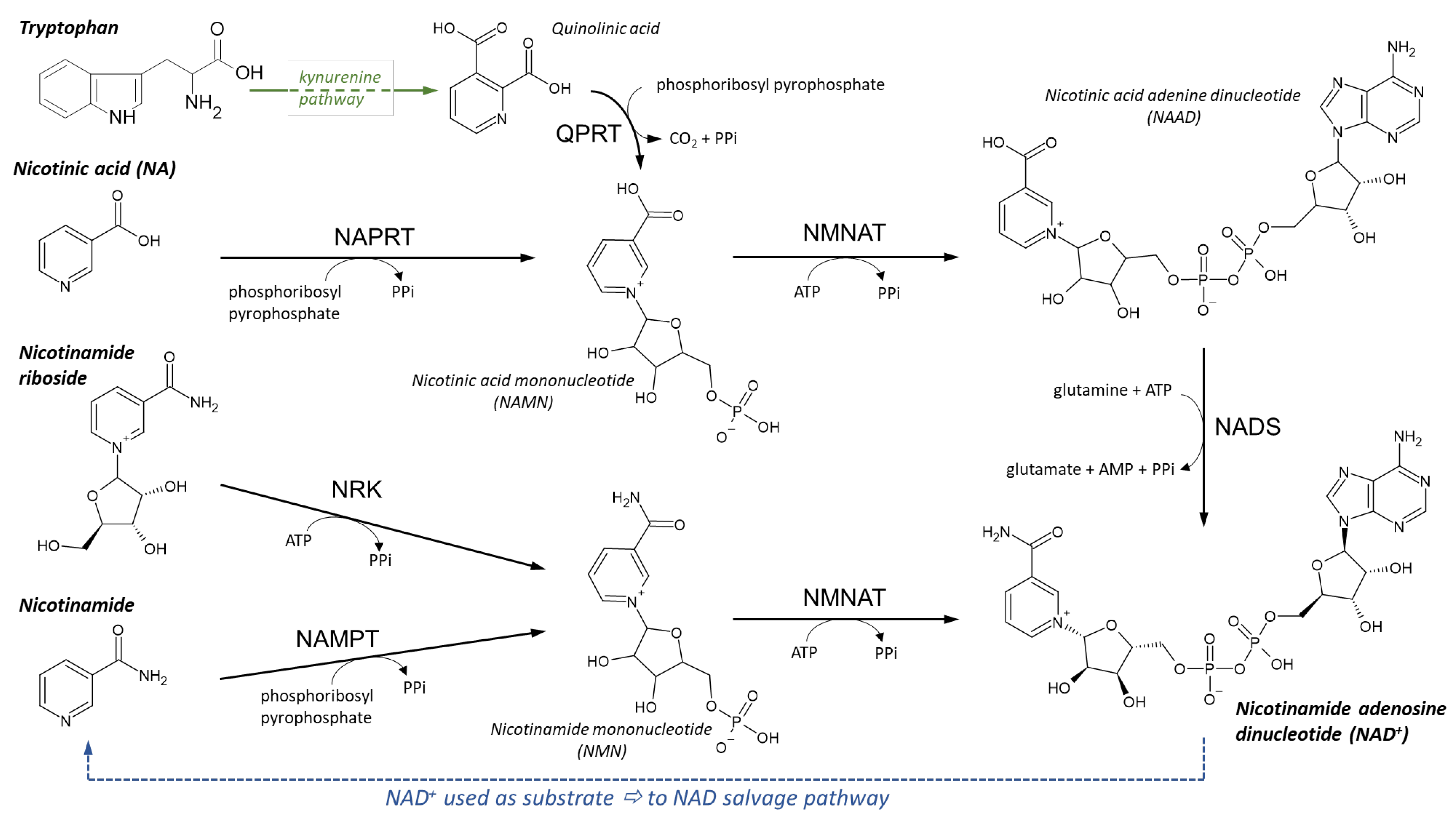 Nutrients 14 00484 g010