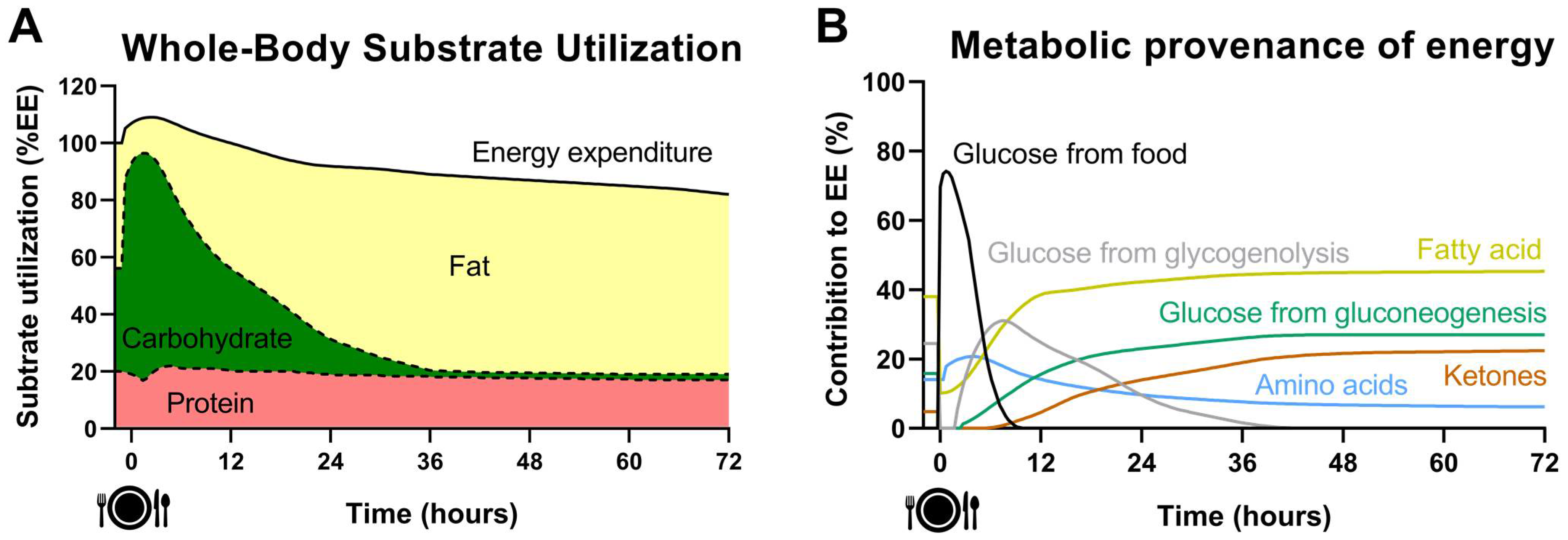 Nutrients 14 00489 g003