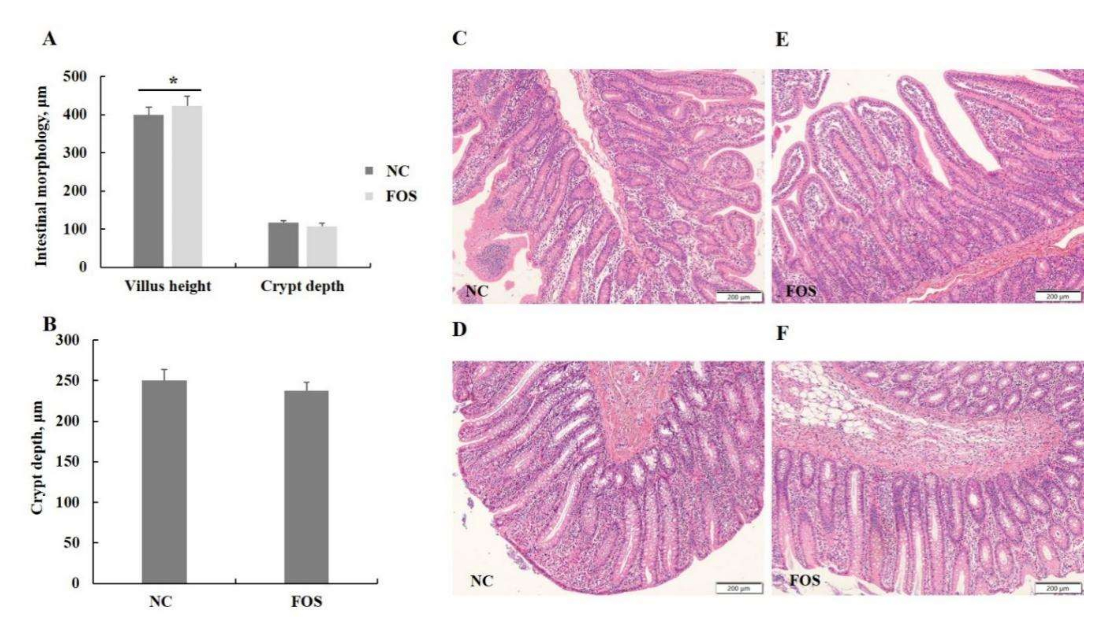 Nutrients 14 00512 g003
