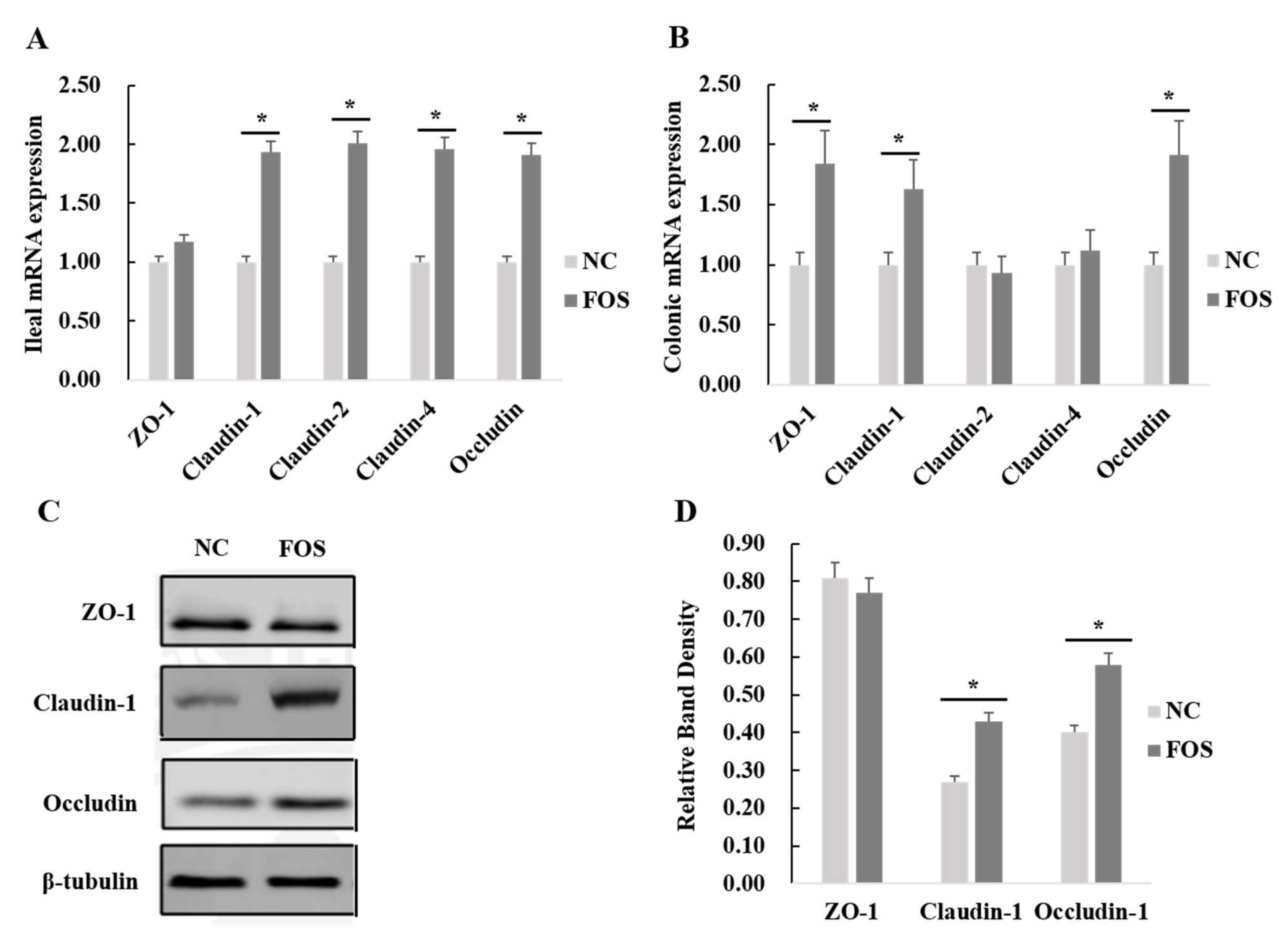 Nutrients 14 00512 g005