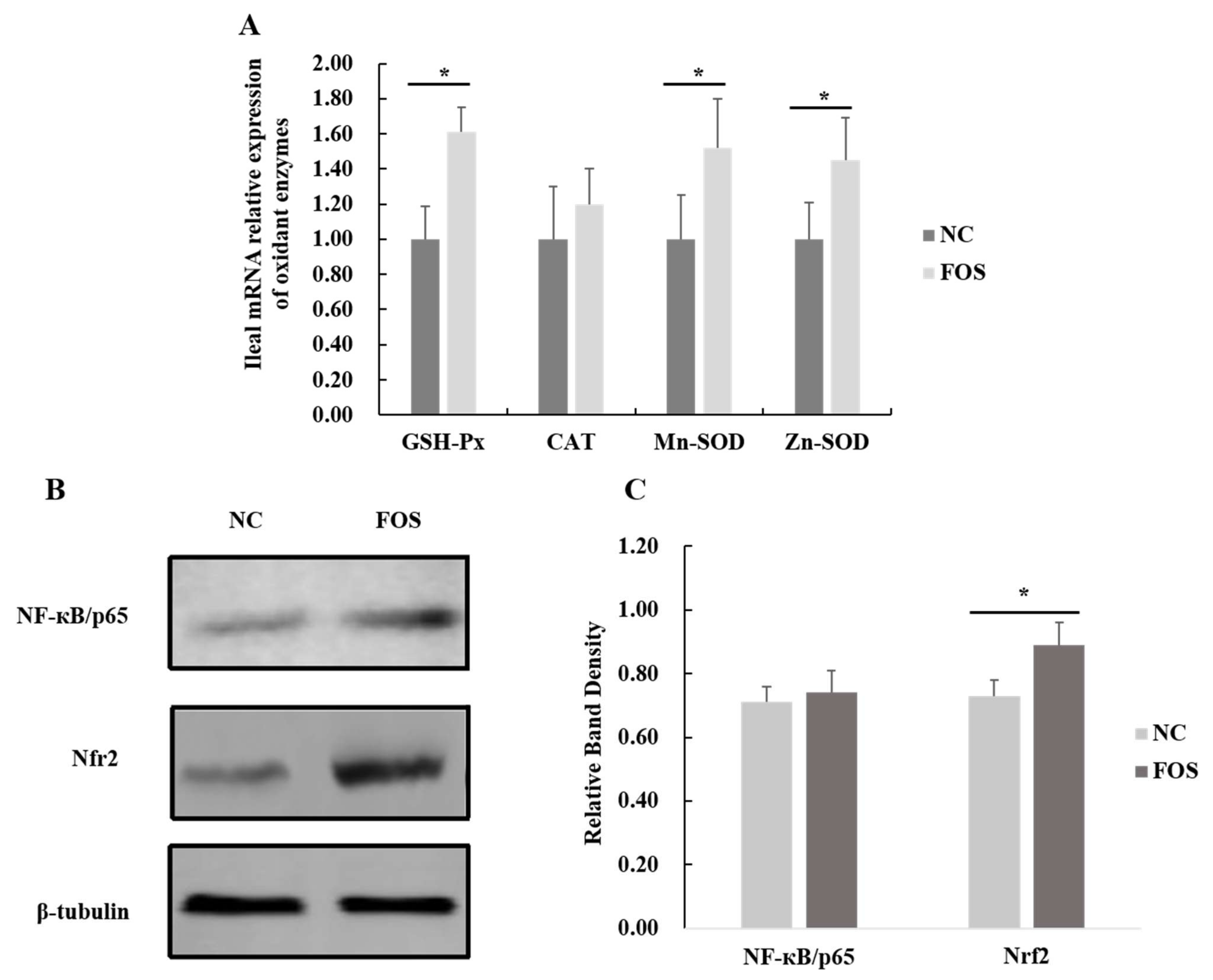 Nutrients 14 00512 g006