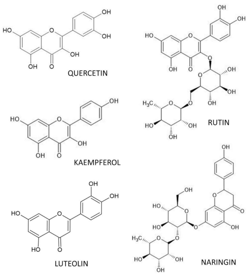 Nutrients 14 00523 g002