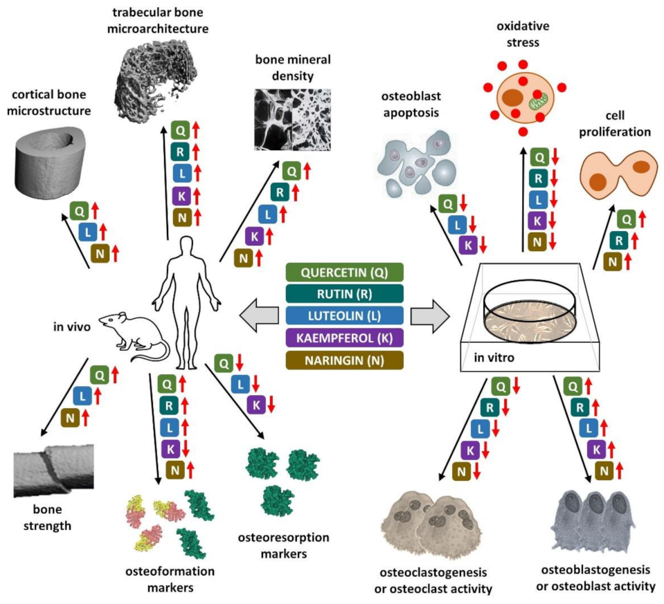 Nutrients 14 00523 g003