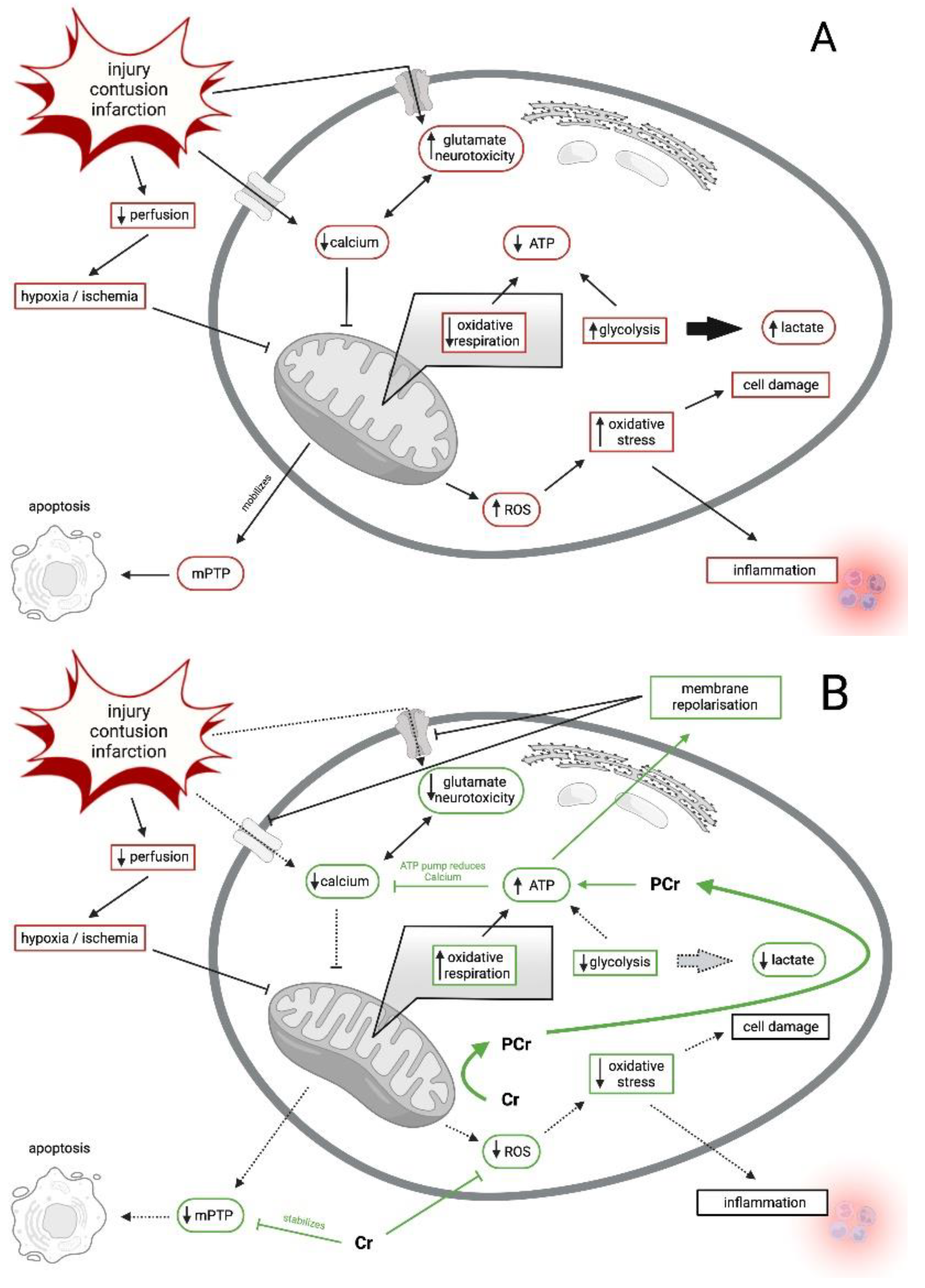 Nutrients 14 00529 g002