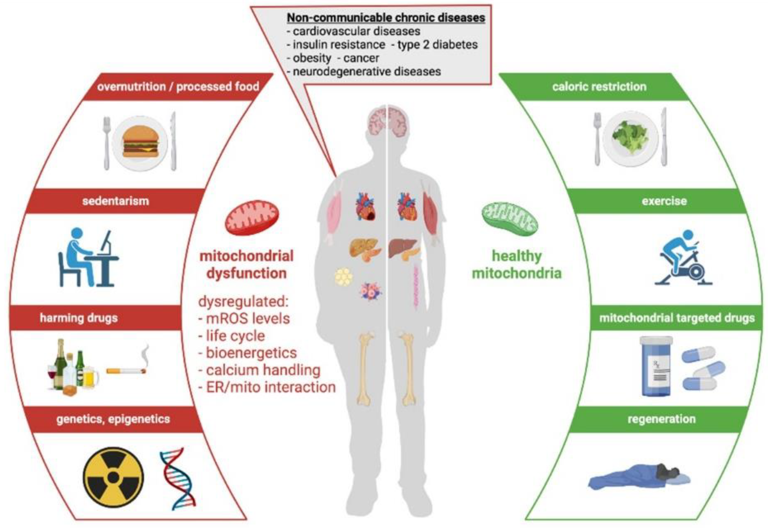 Nutrients 14 00529 g004