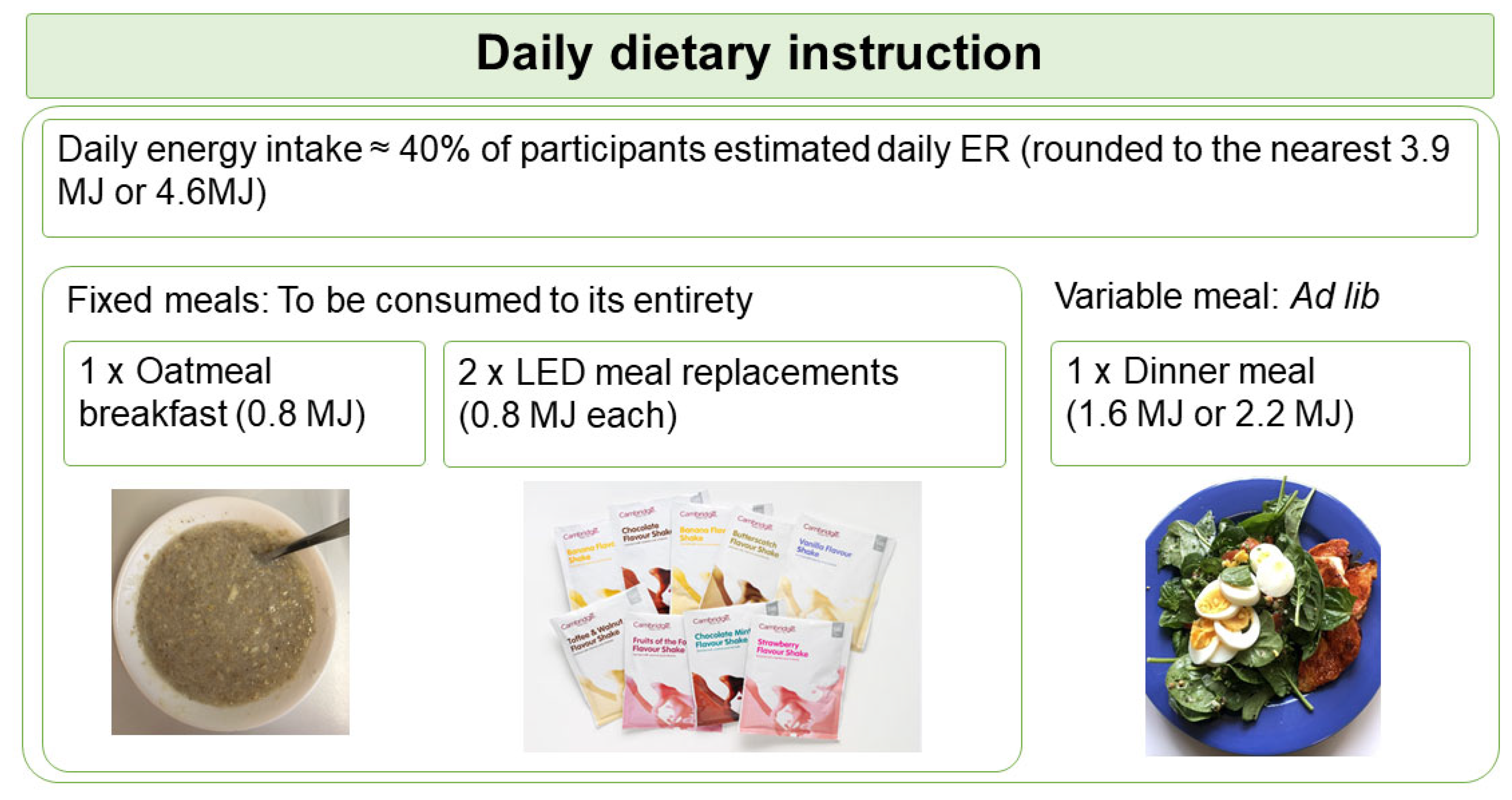 Nutrients 14 00538 g001