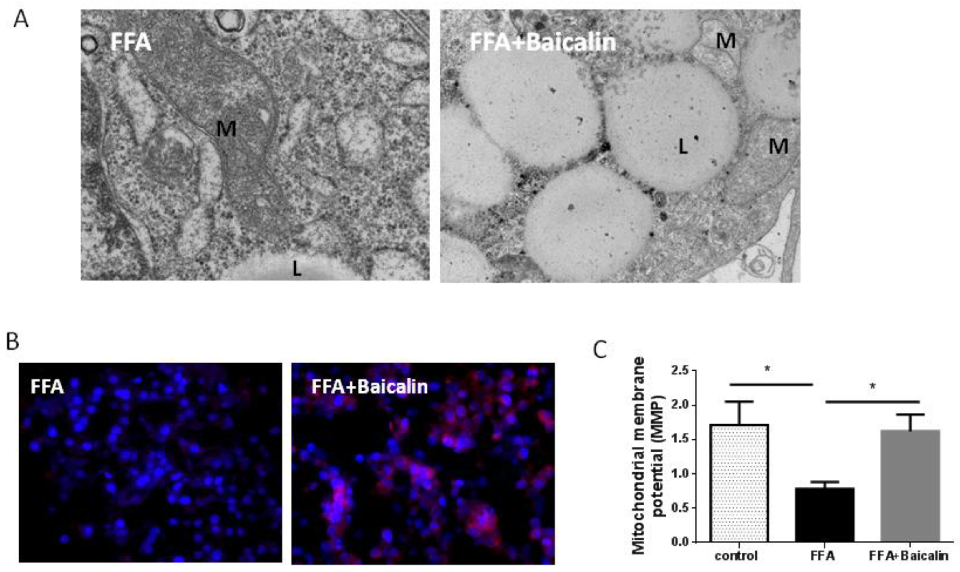 Nutrients 14 00541 g004