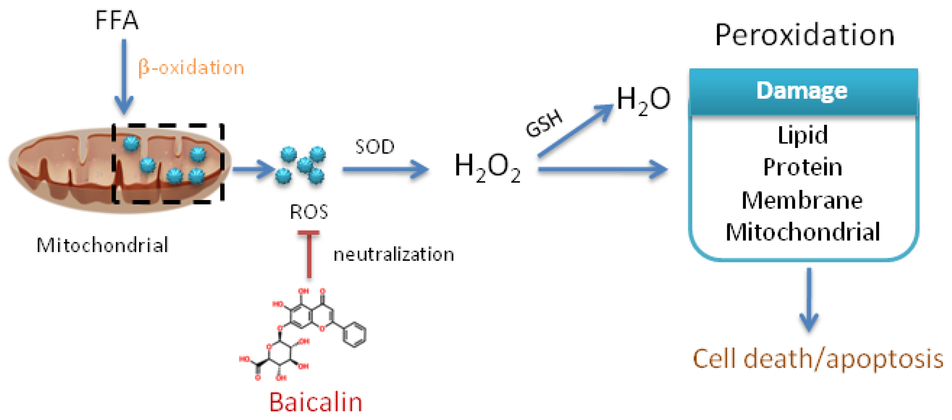 Nutrients 14 00541 g007