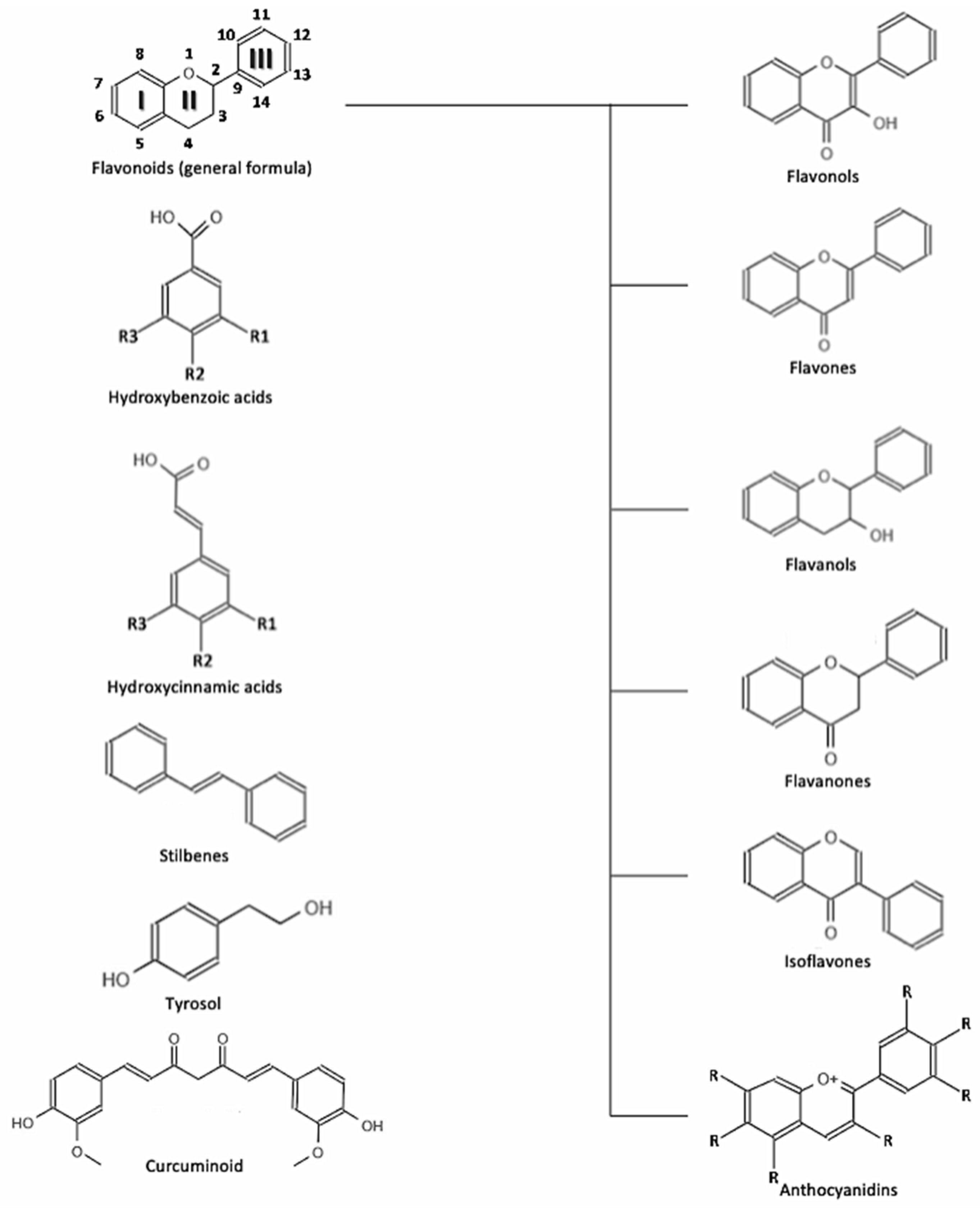 Nutrients 14 00545 g001