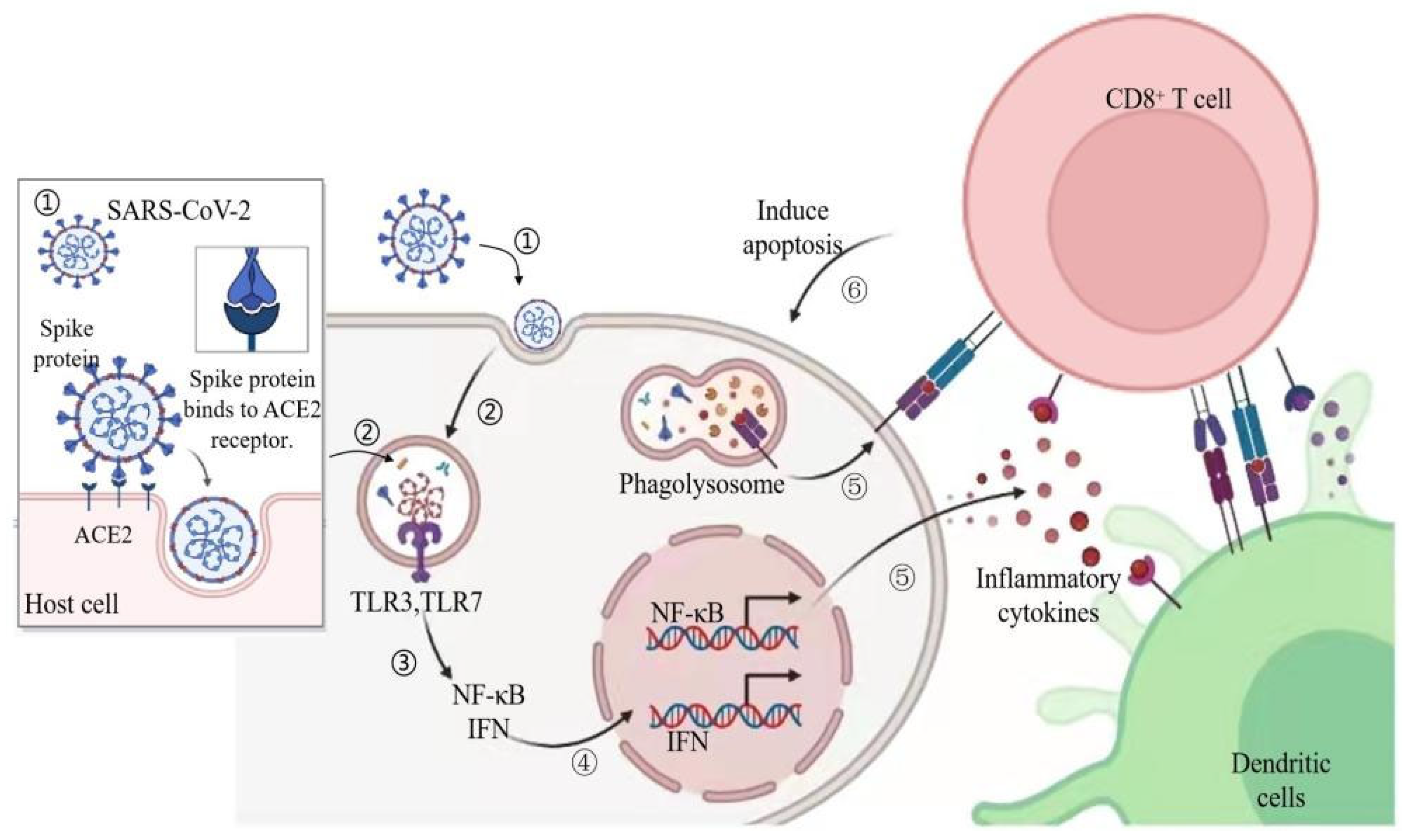 Nutrients 14 00550 g001