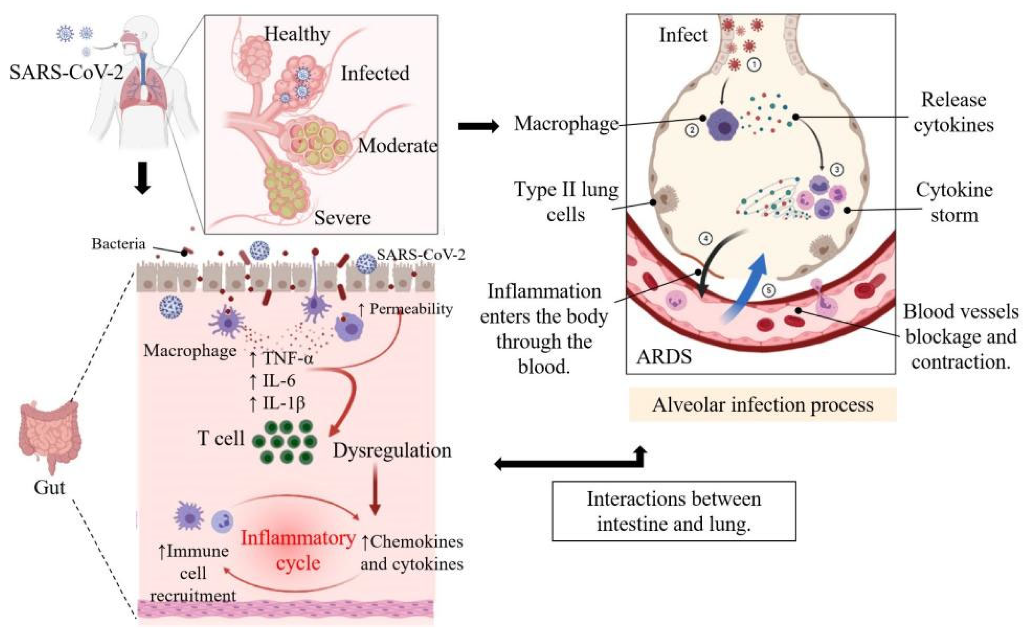 Nutrients 14 00550 g002